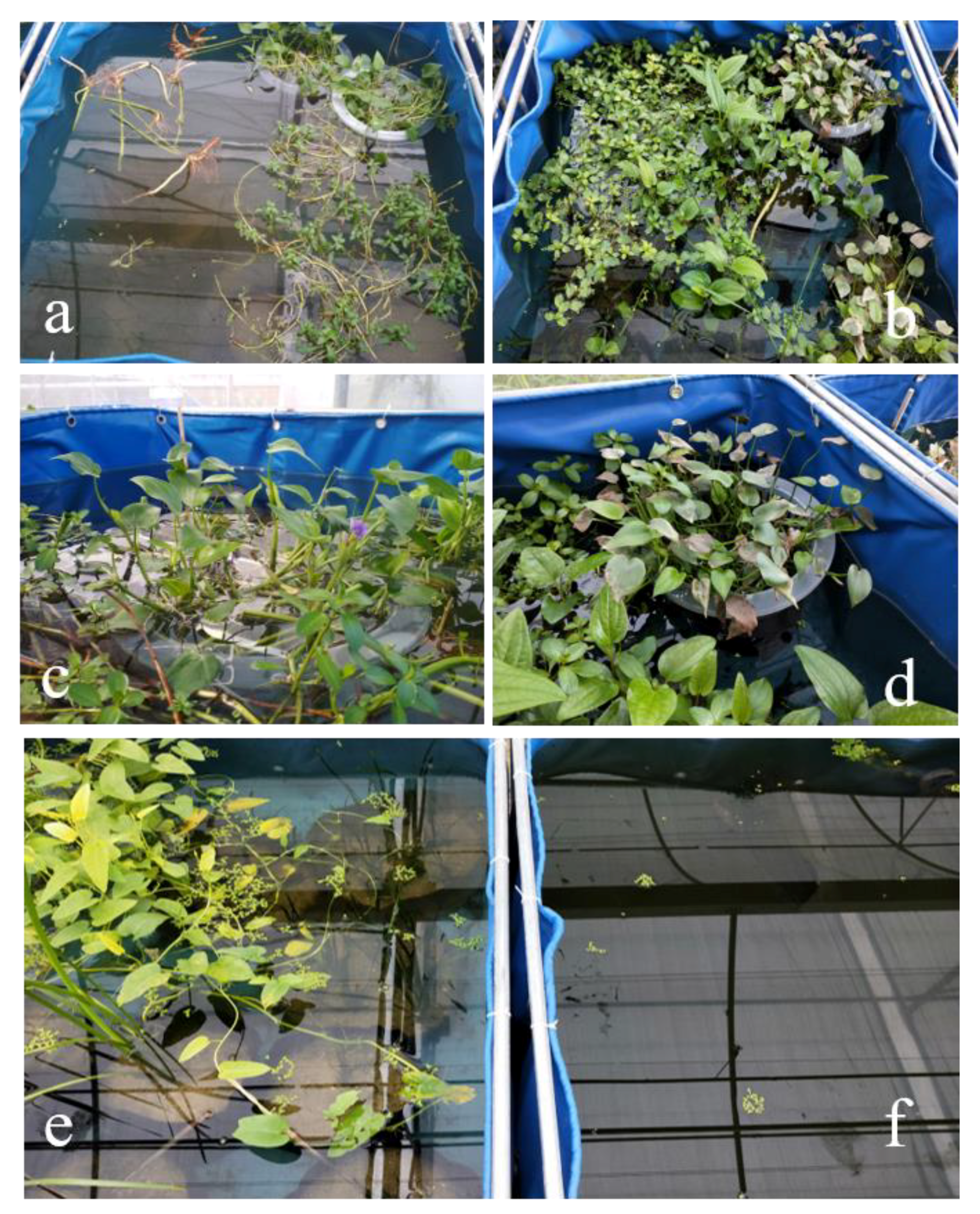 Ijerph 18 06162 g005 Ijerph 18 06162 g005