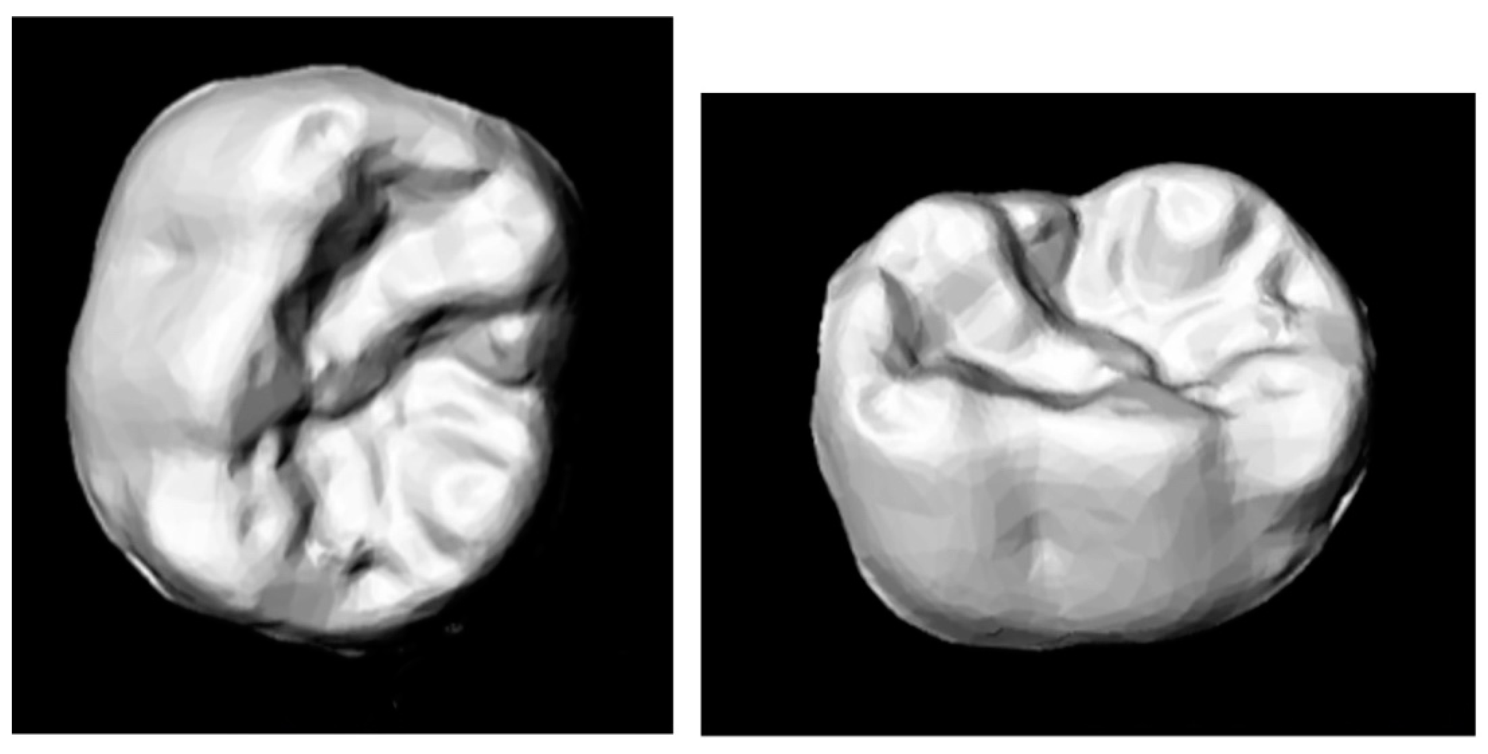 Ijerph 18 06201 g001 Ijerph 18 06201 g001
