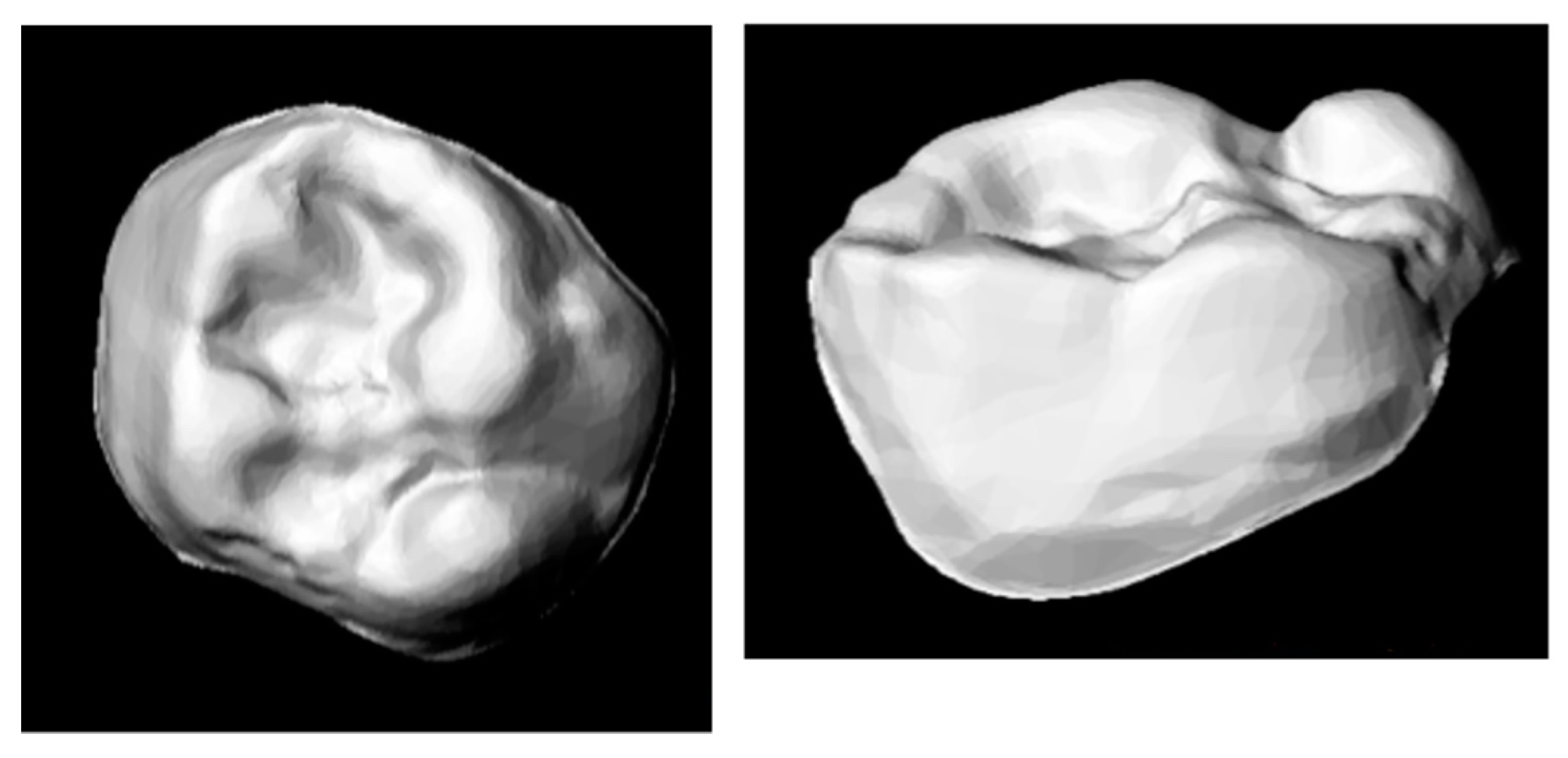 Ijerph 18 06201 g002 Ijerph 18 06201 g002