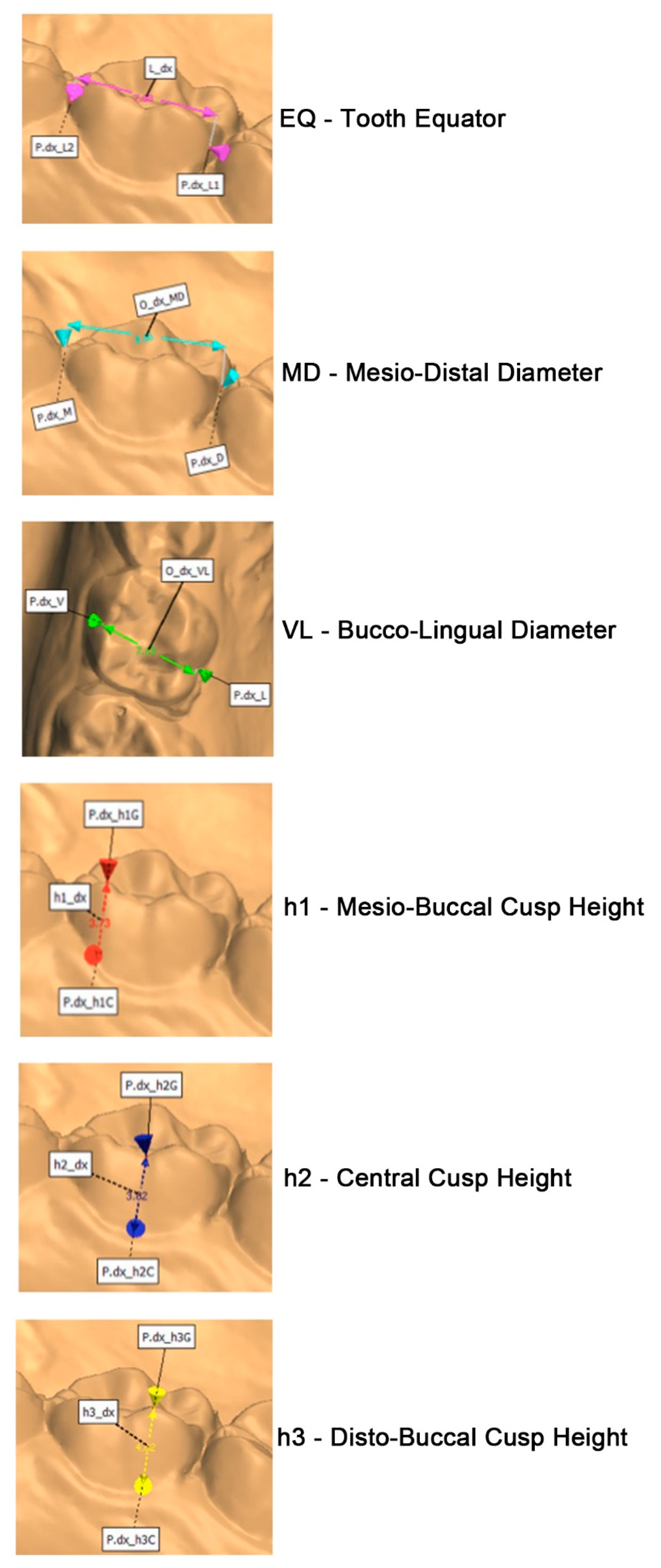 Ijerph 18 06201 g003 Ijerph 18 06201 g003