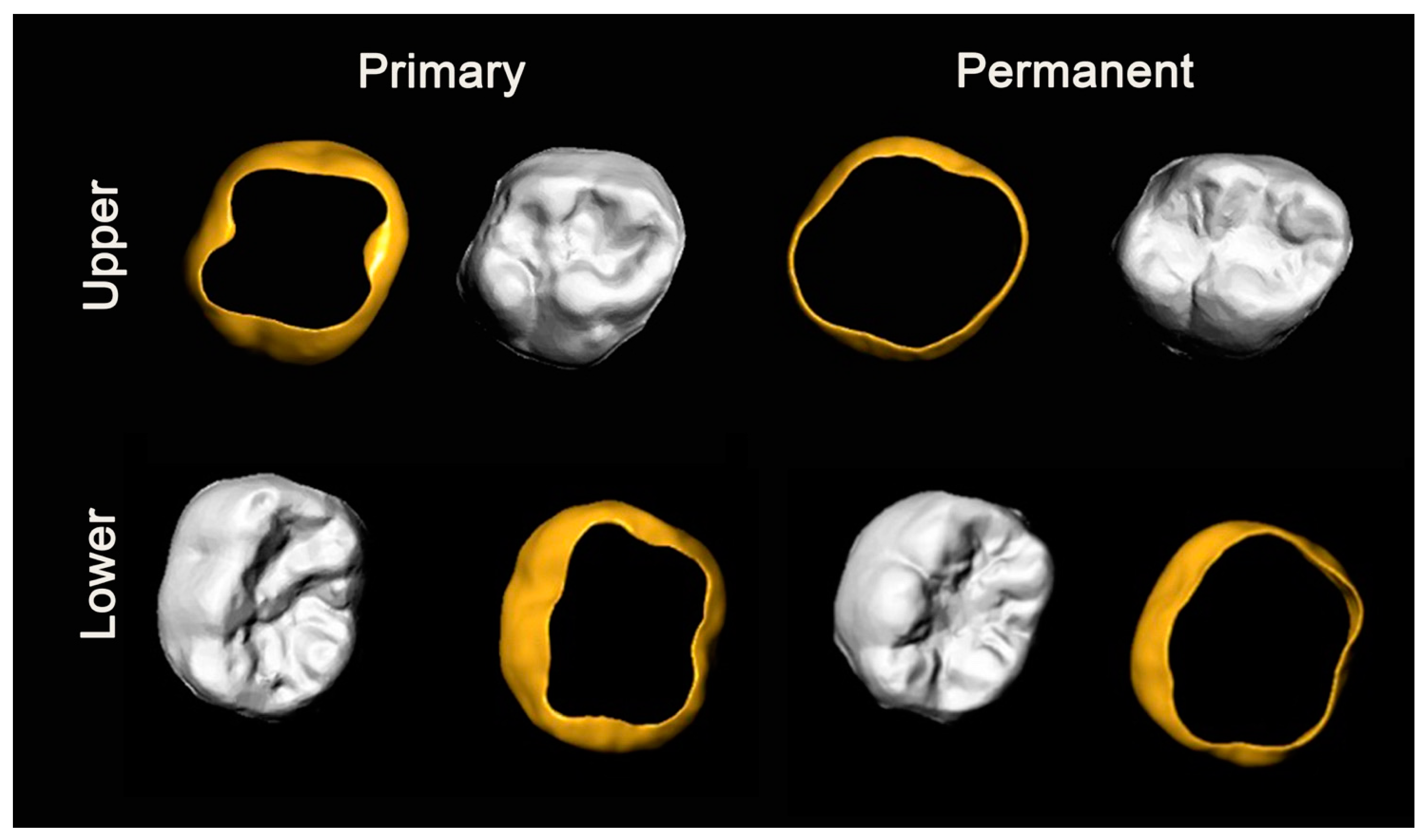 Ijerph 18 06201 g004 Ijerph 18 06201 g004