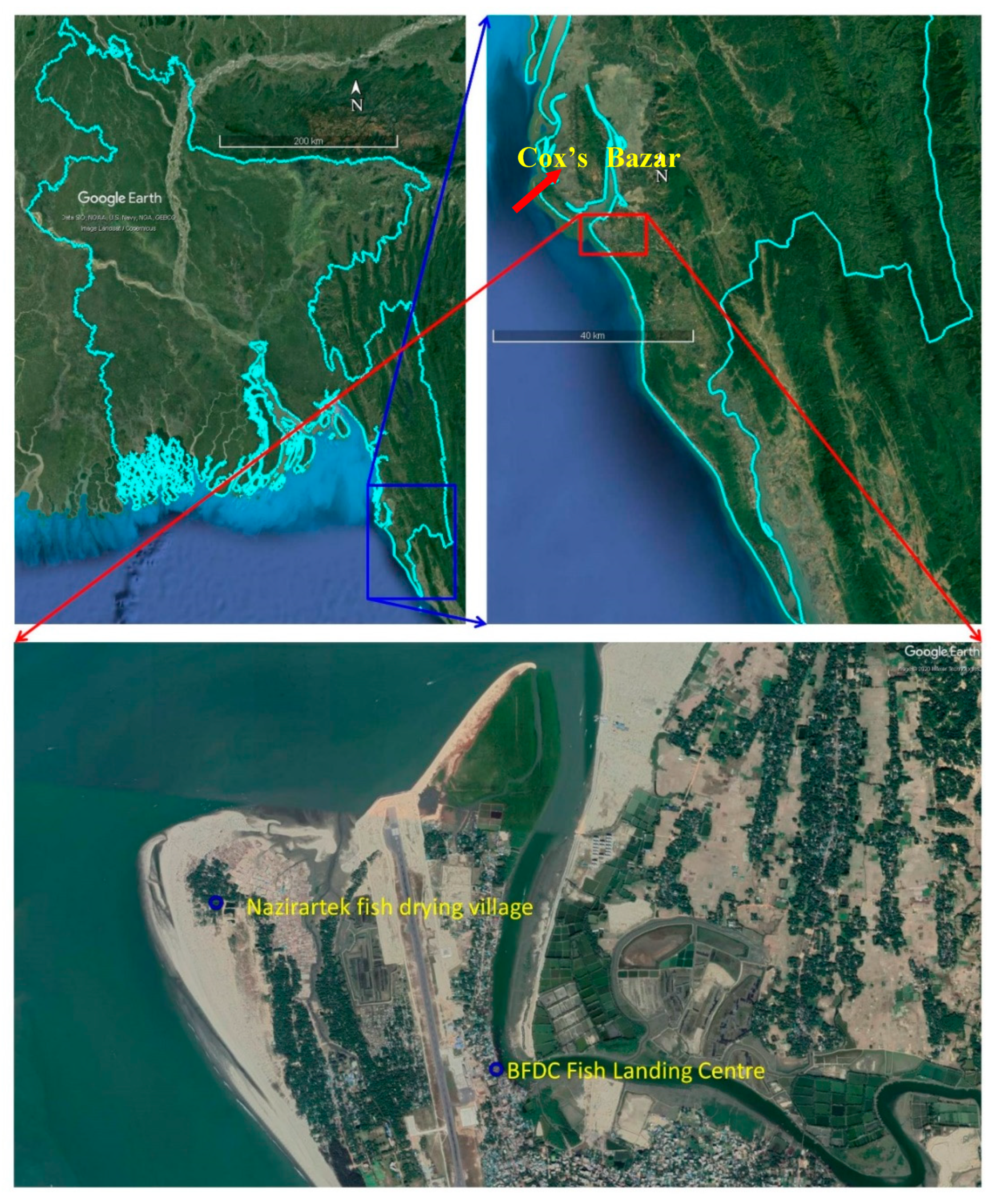 Ijerph 18 06242 g001 Ijerph 18 06242 g001