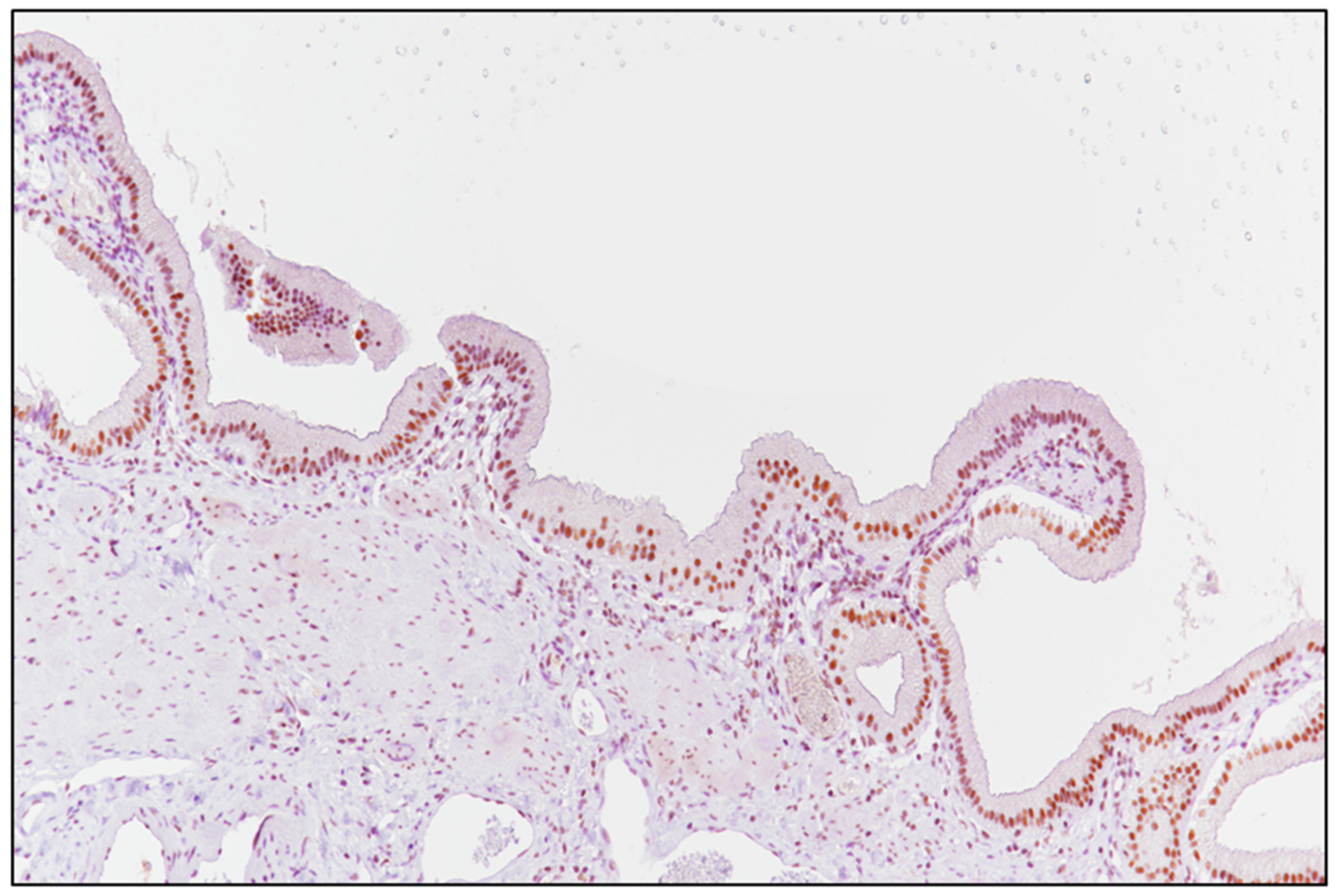 Ijerph 18 06249 g001 Ijerph 18 06249 g001