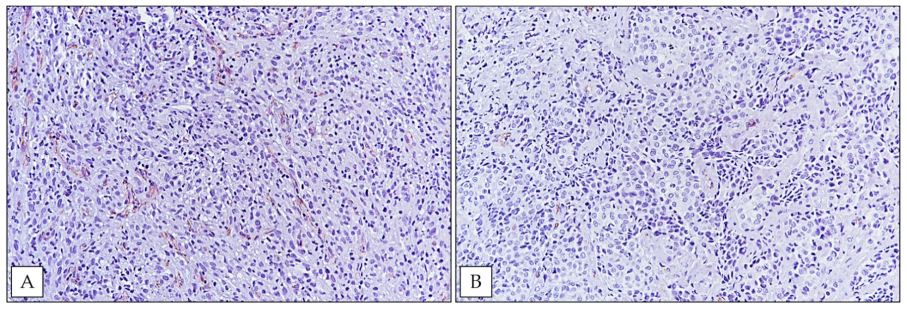 Ijerph 18 06249 g004 Ijerph 18 06249 g004