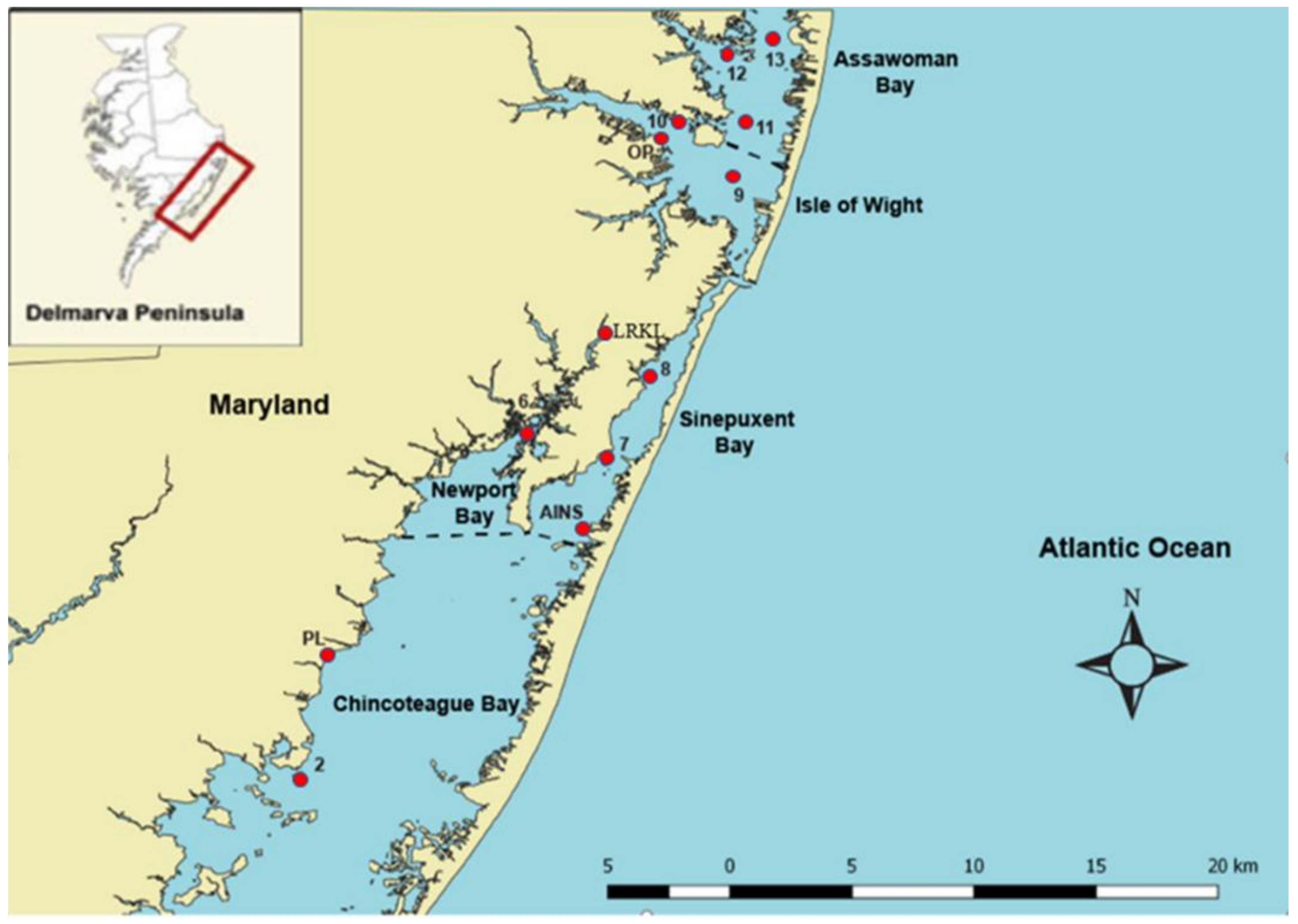 Ijerph 18 06254 g001