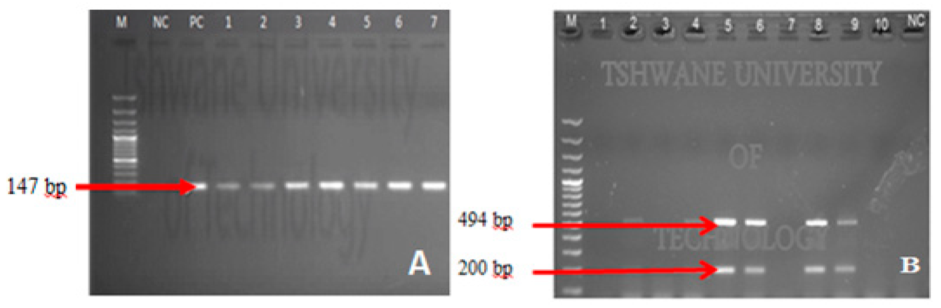 Ijerph 18 06313 g006 Ijerph 18 06313 g006