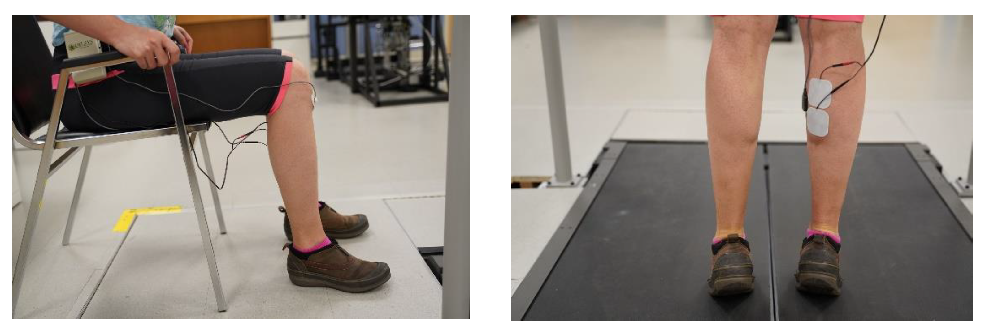 Ijerph 18 06460 g002 Ijerph 18 06460 g002