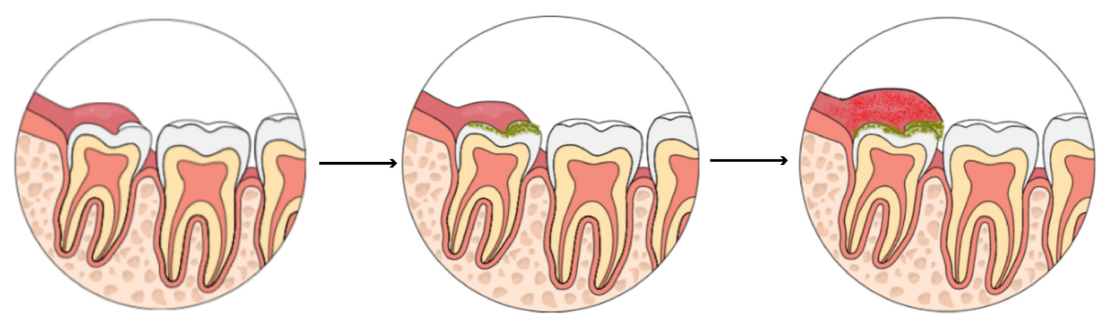 Ijerph 18 06796 g001 Ijerph 18 06796 g001