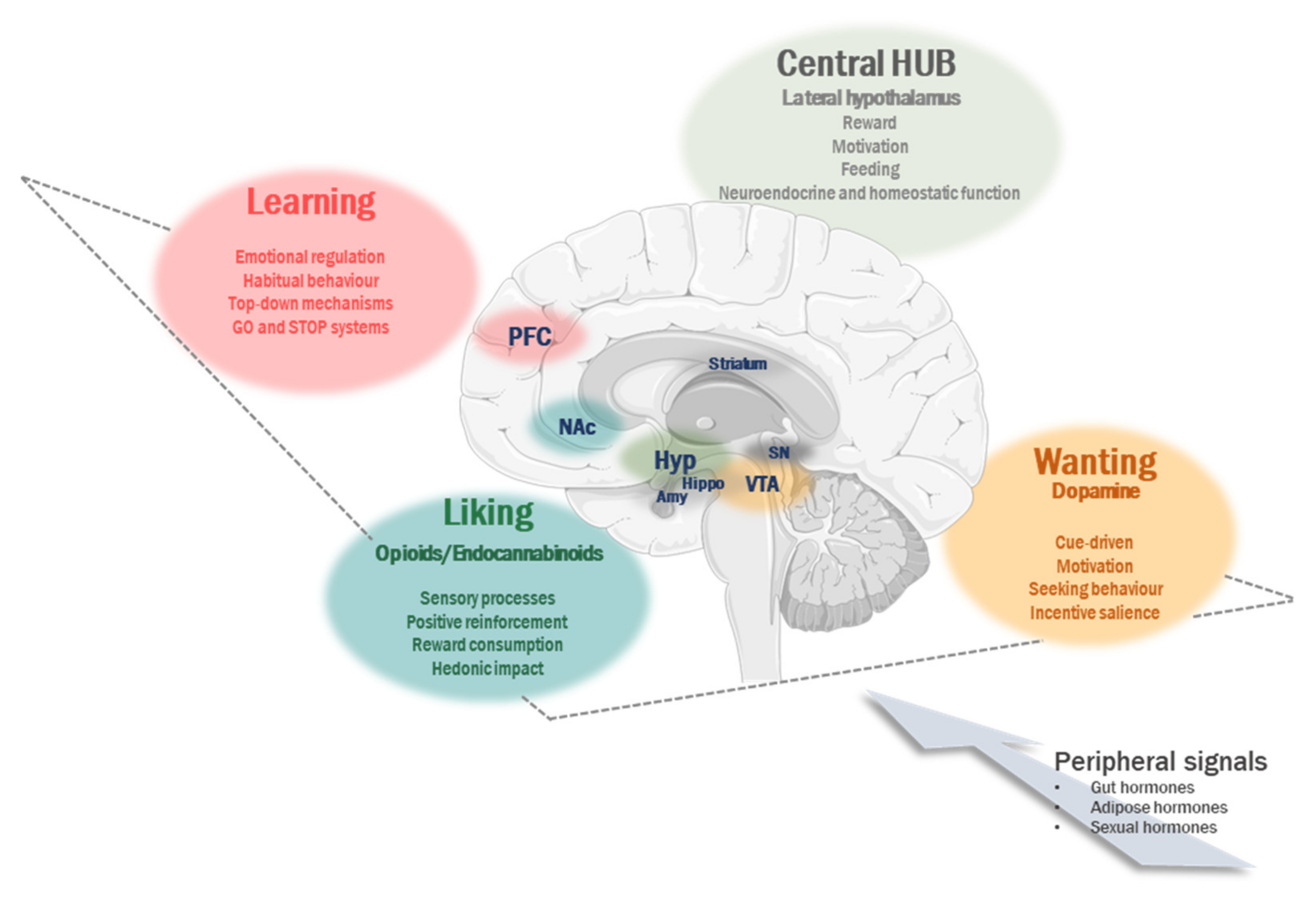 Ijerph 18 06825 g001