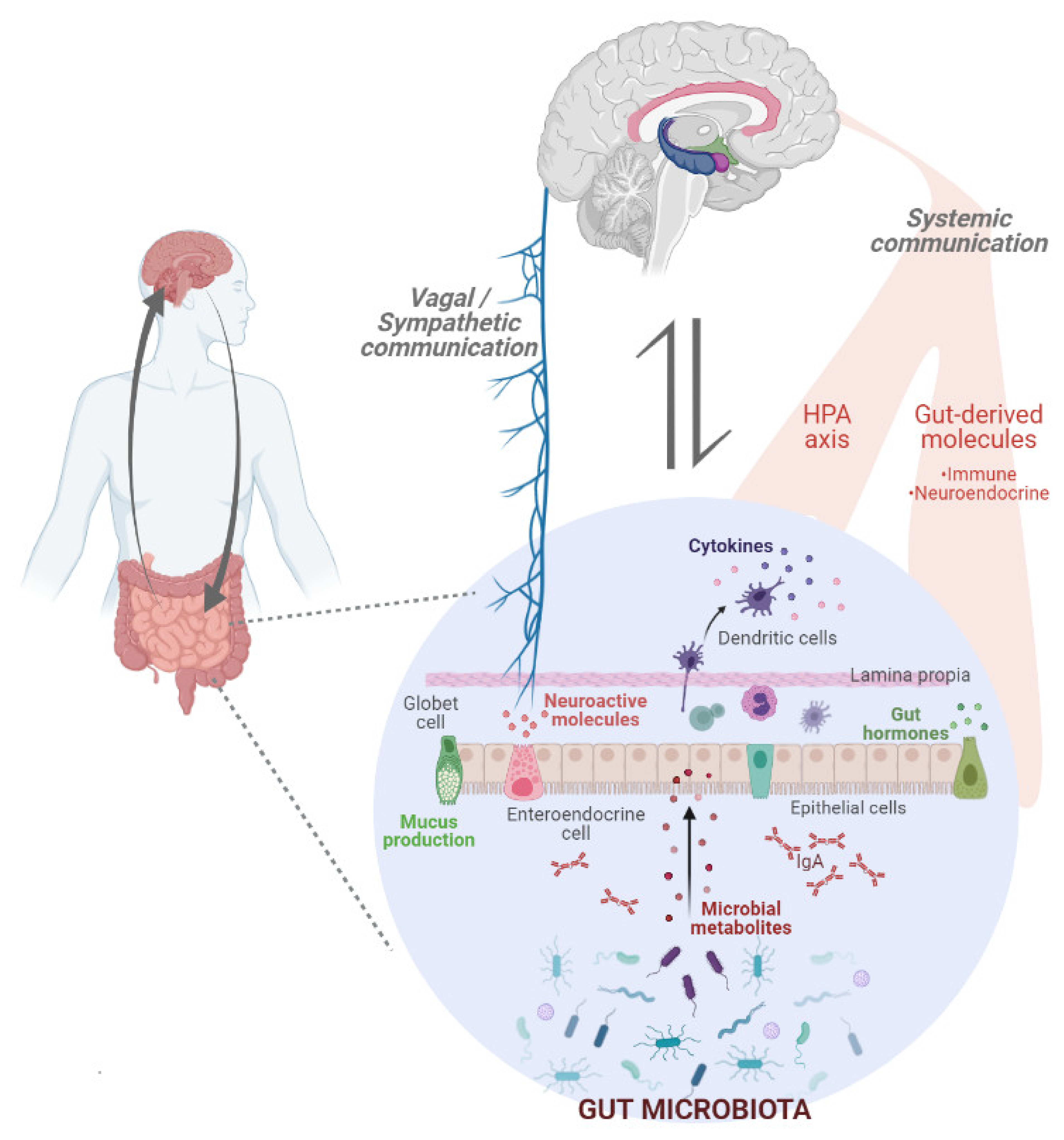 Ijerph 18 06825 g002