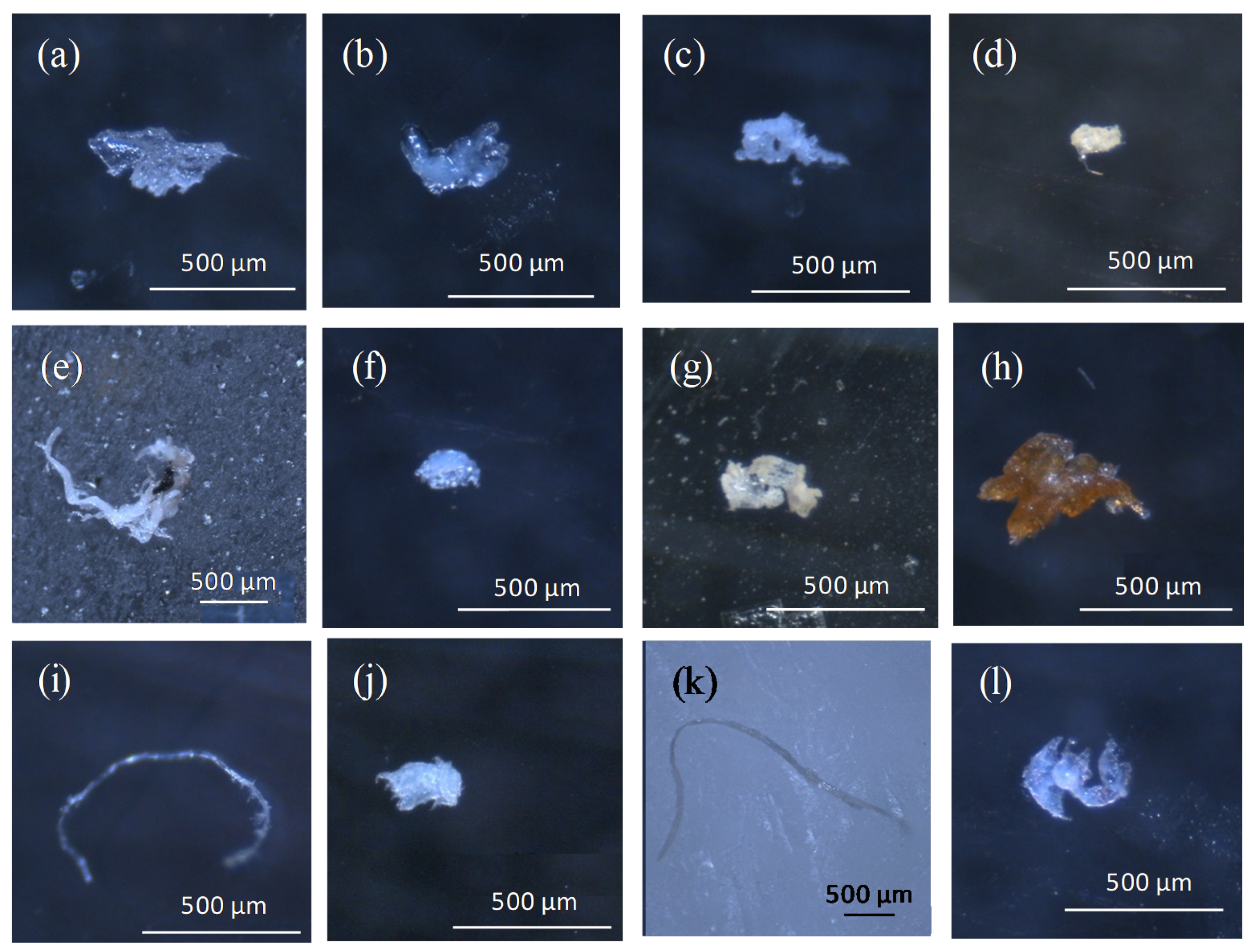 Ijerph 18 06844 g002