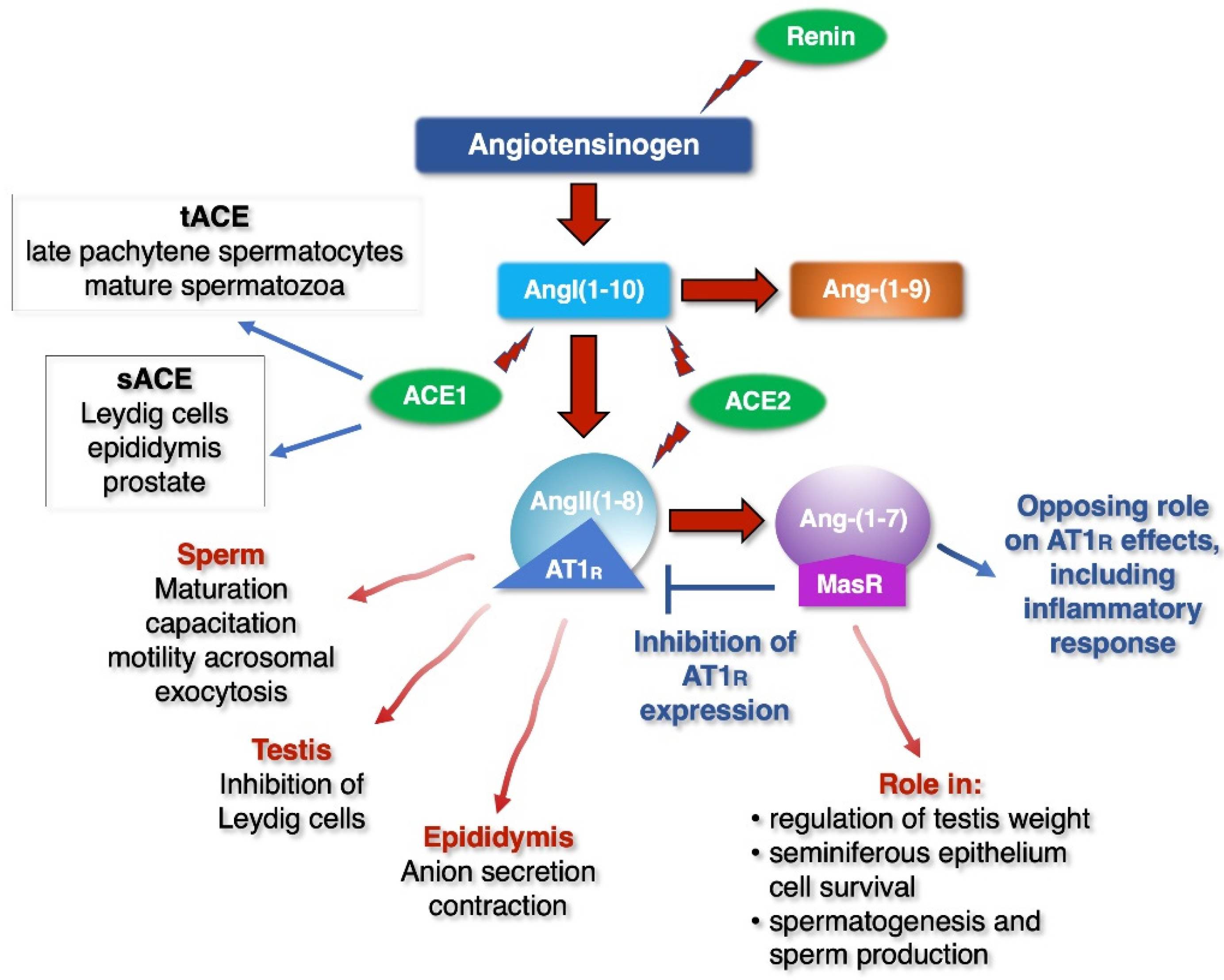 Ijerph 18 06846 g002