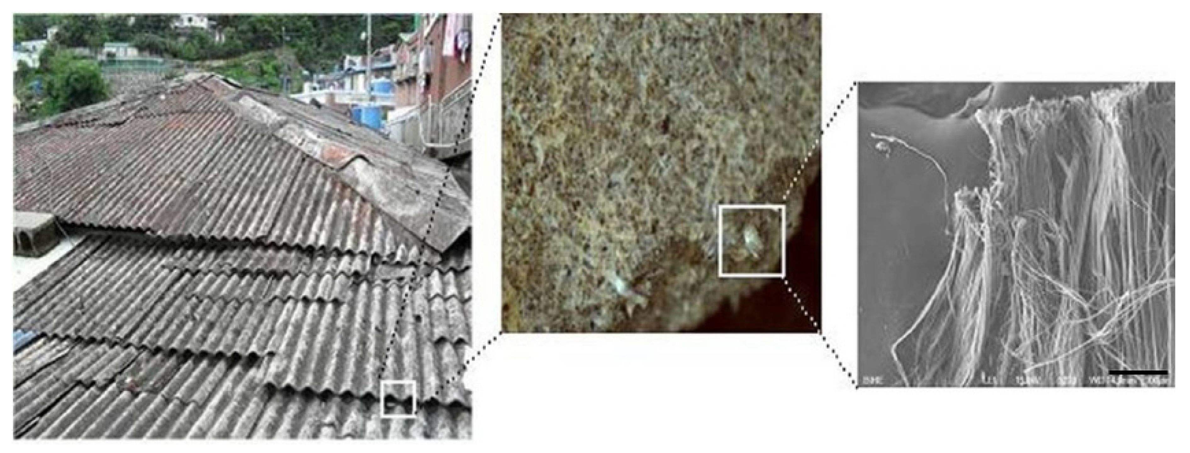 Ijerph 18 06925 g001