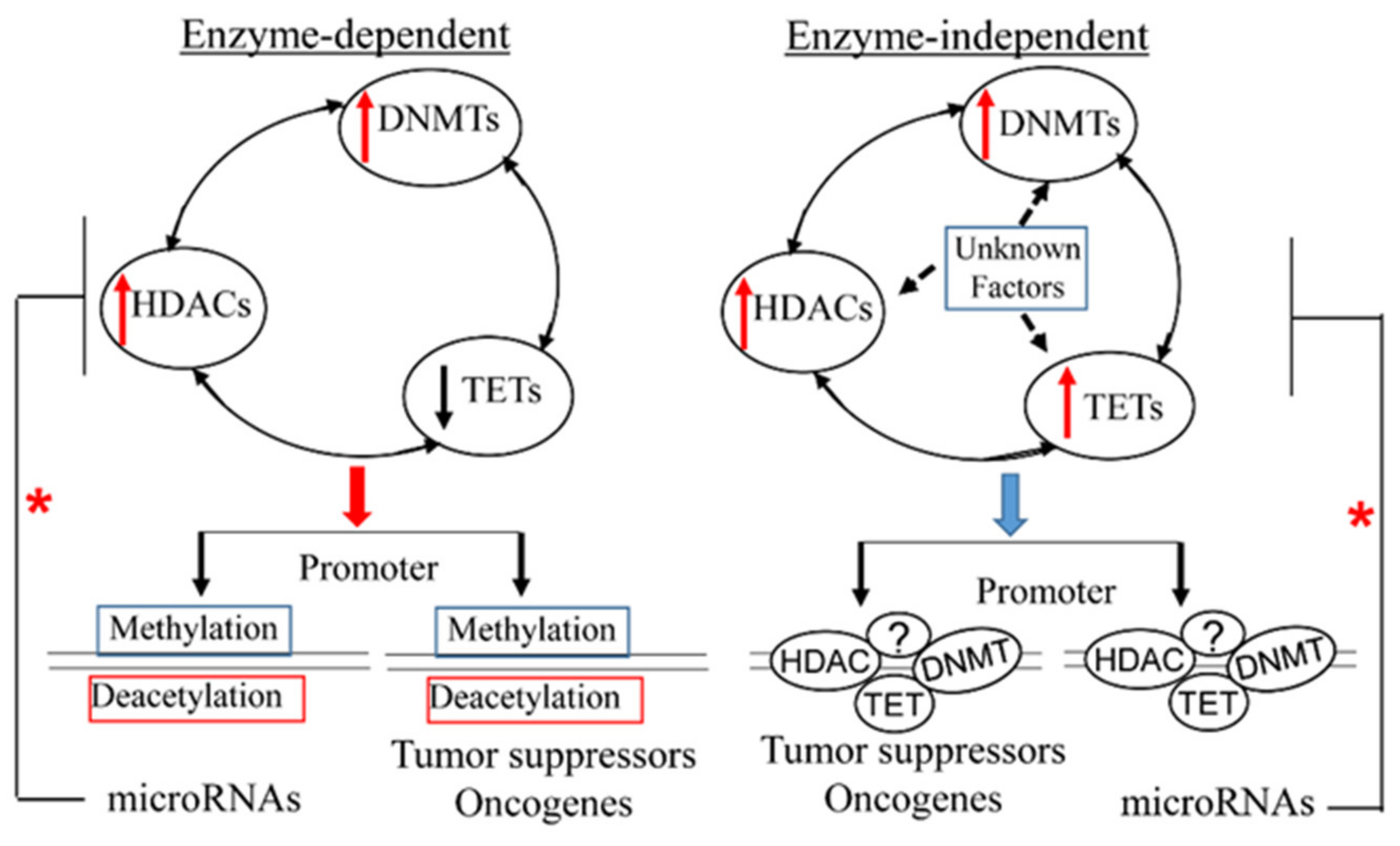 Ijerph 18 06930 g001 Ijerph 18 06930 g001