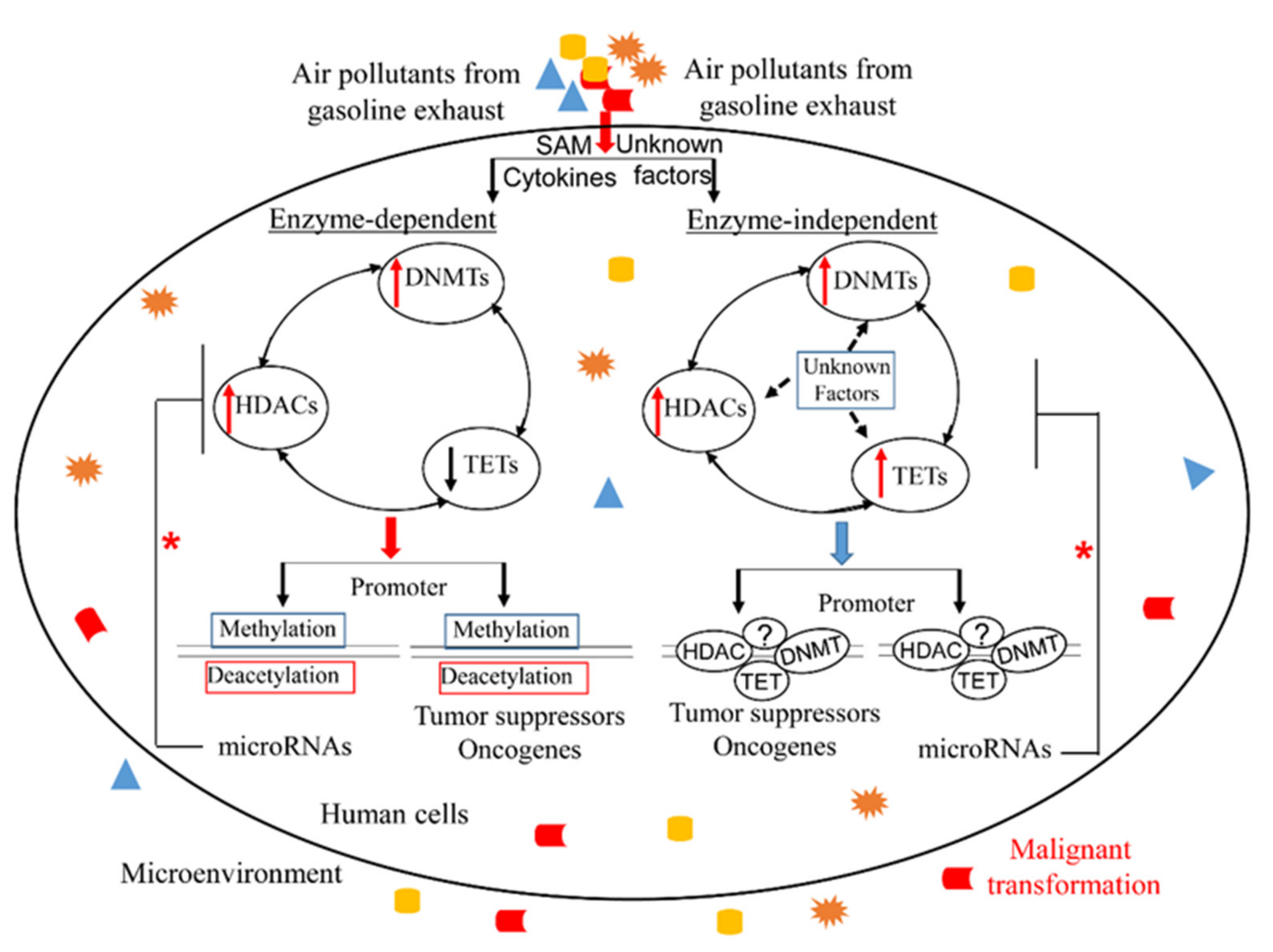 Ijerph 18 06930 g002 Ijerph 18 06930 g002