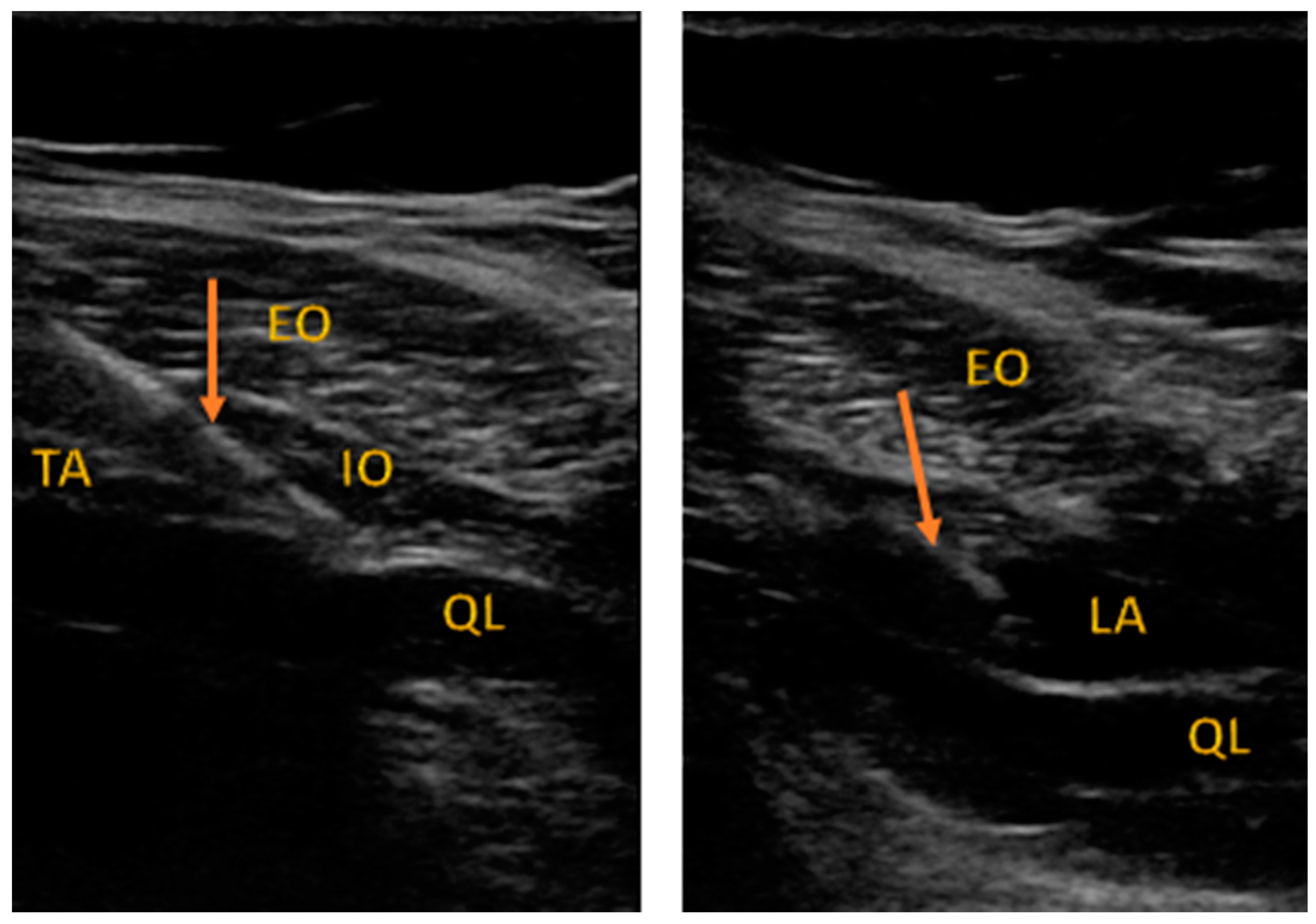 Ijerph 18 07034 g001