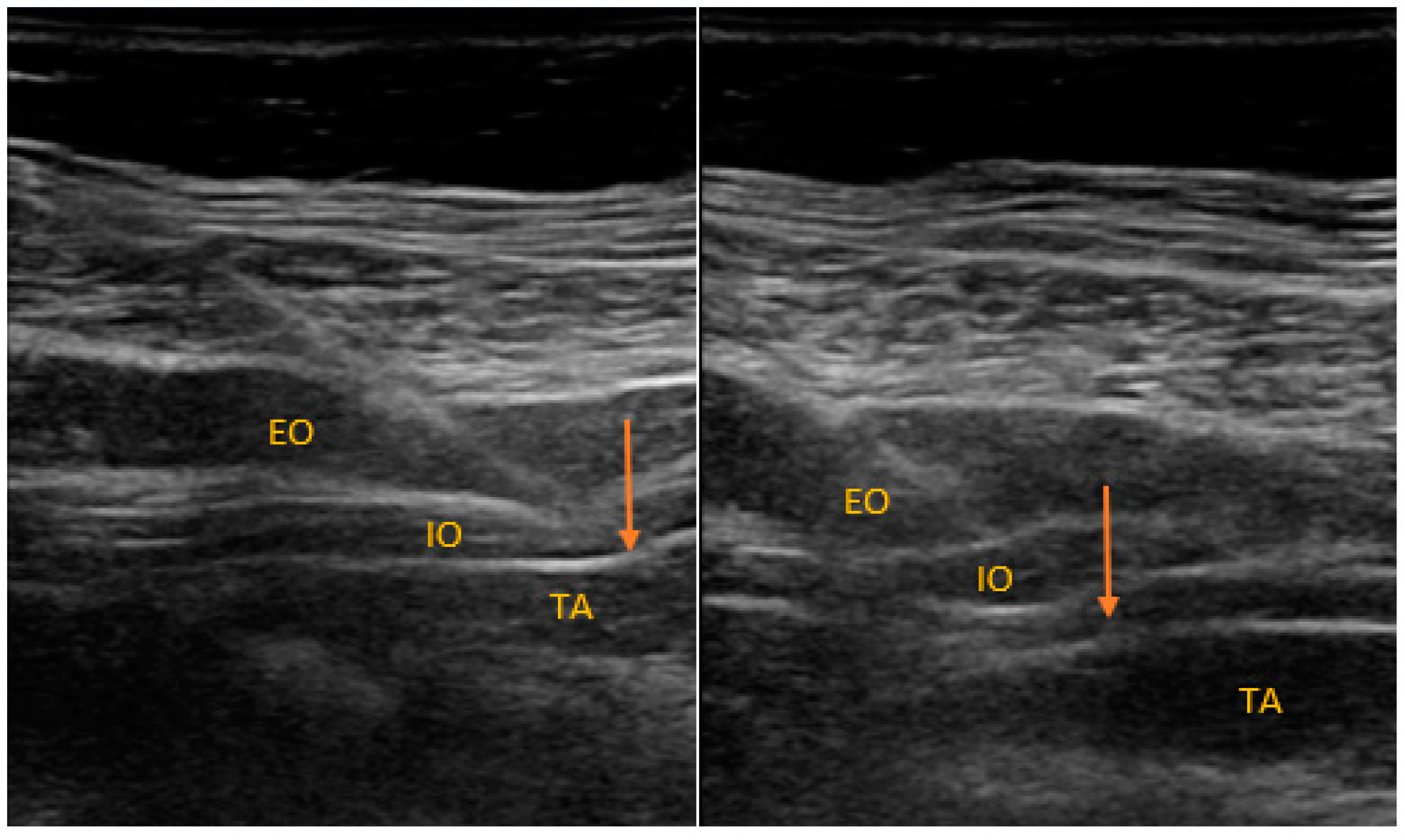 Ijerph 18 07034 g002