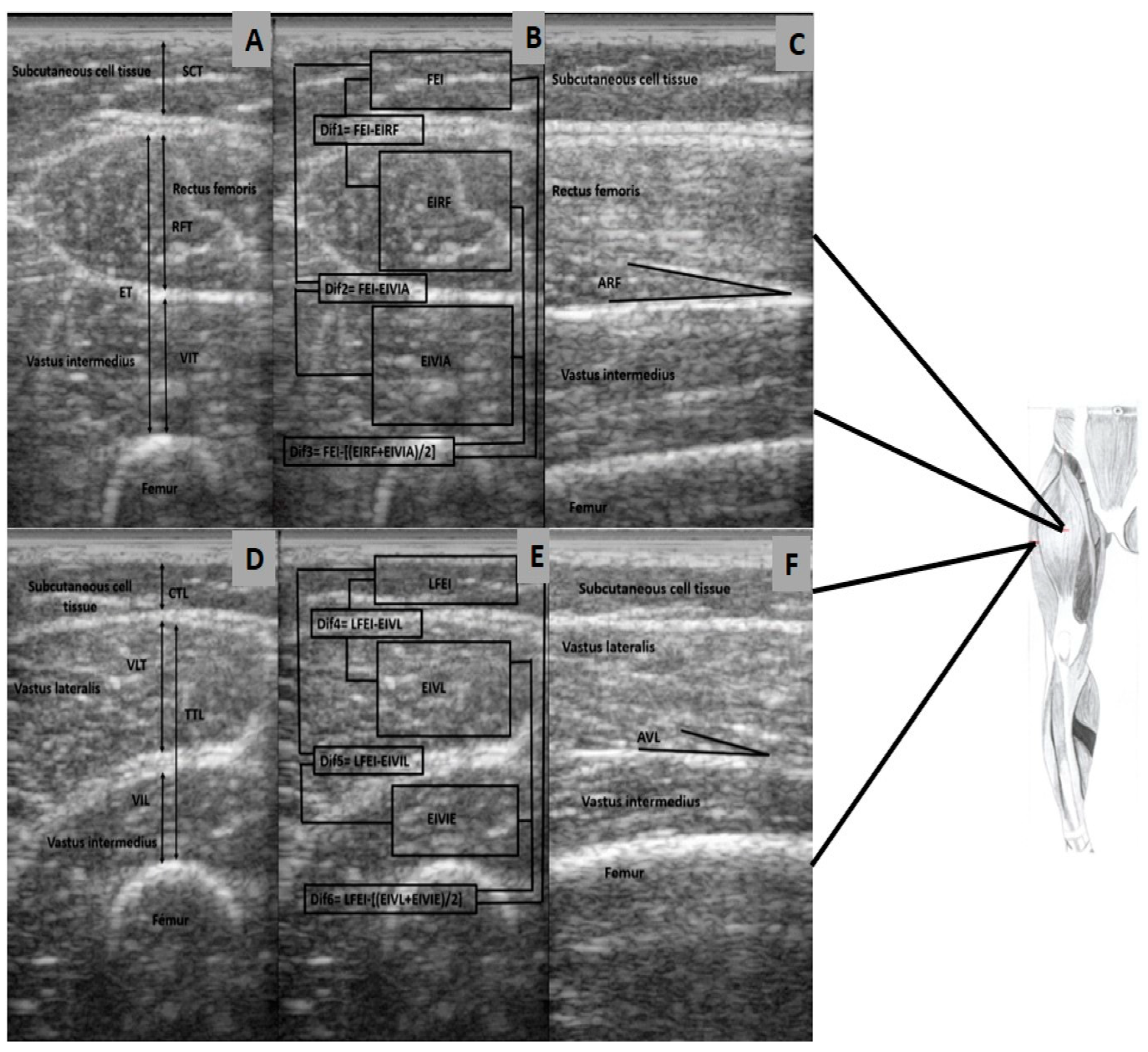 Ijerph 18 07083 g001