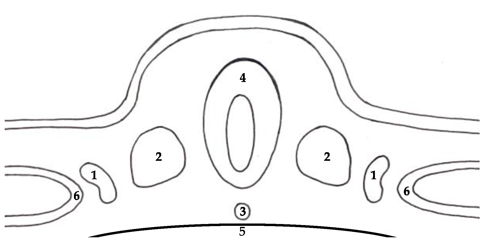 Ijerph 18 07084 g001