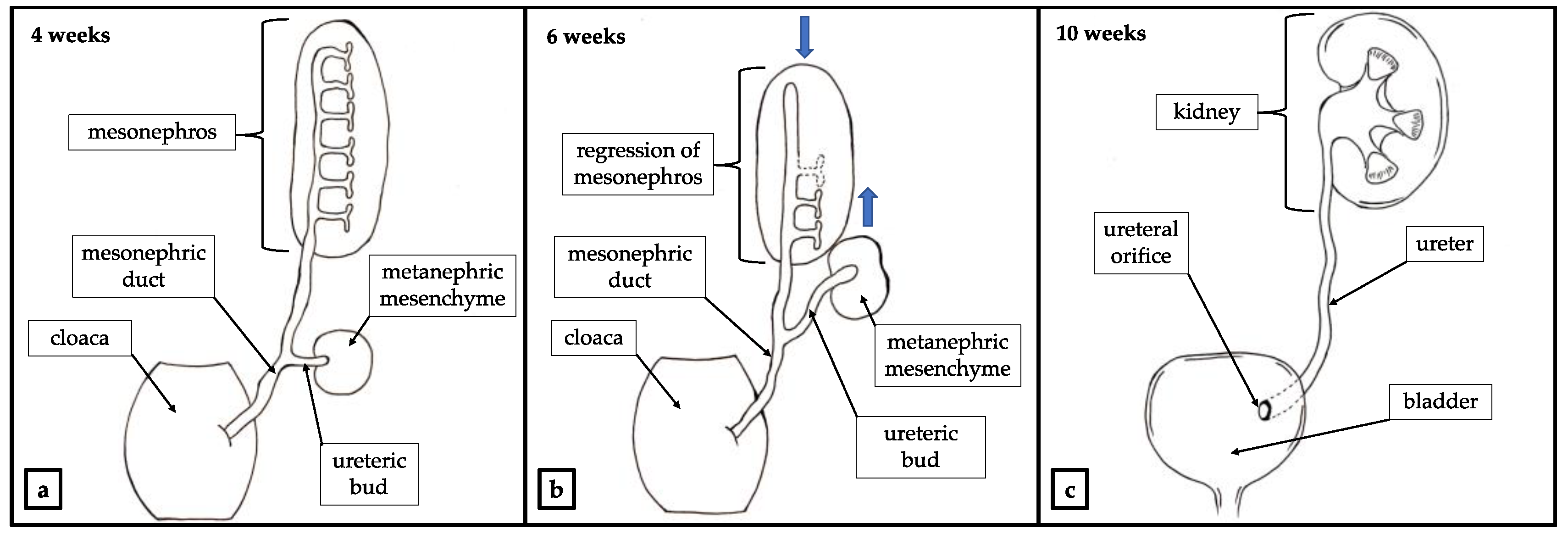 Ijerph 18 07084 g002