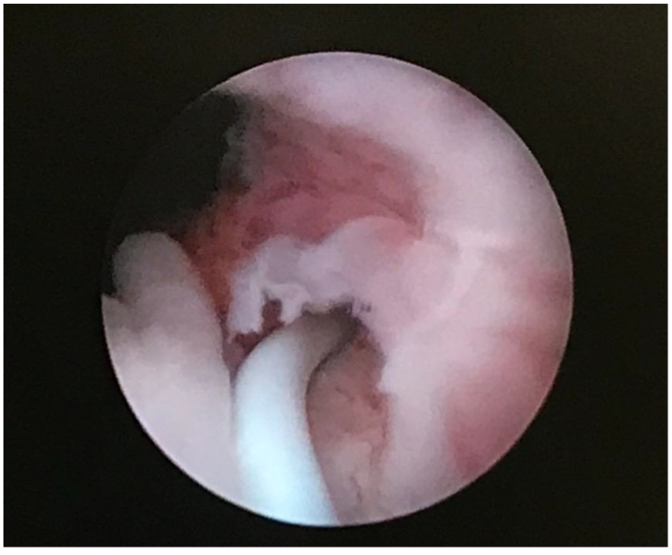 Ijerph 18 07084 g006