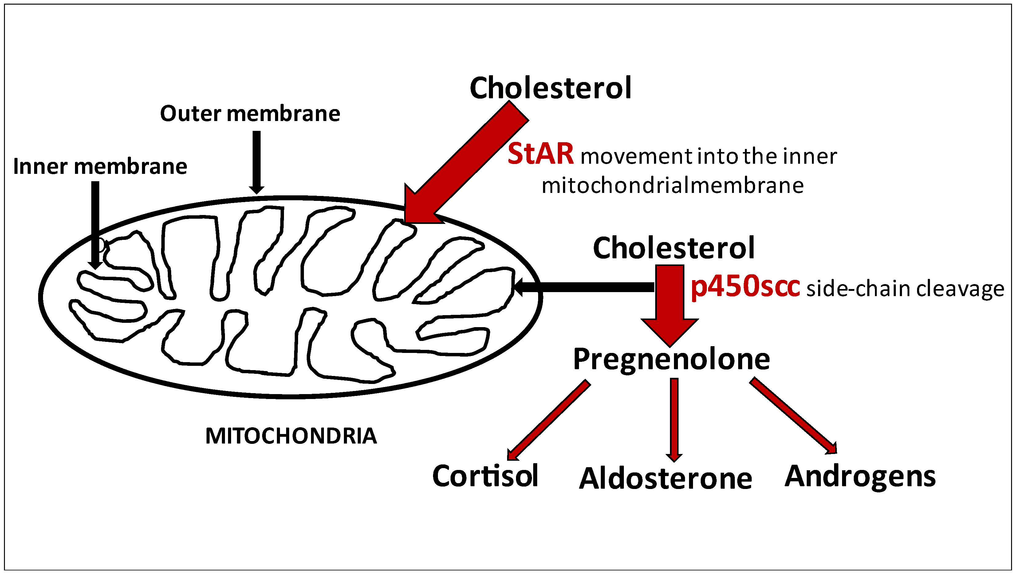 Ijerph 18 07186 g001