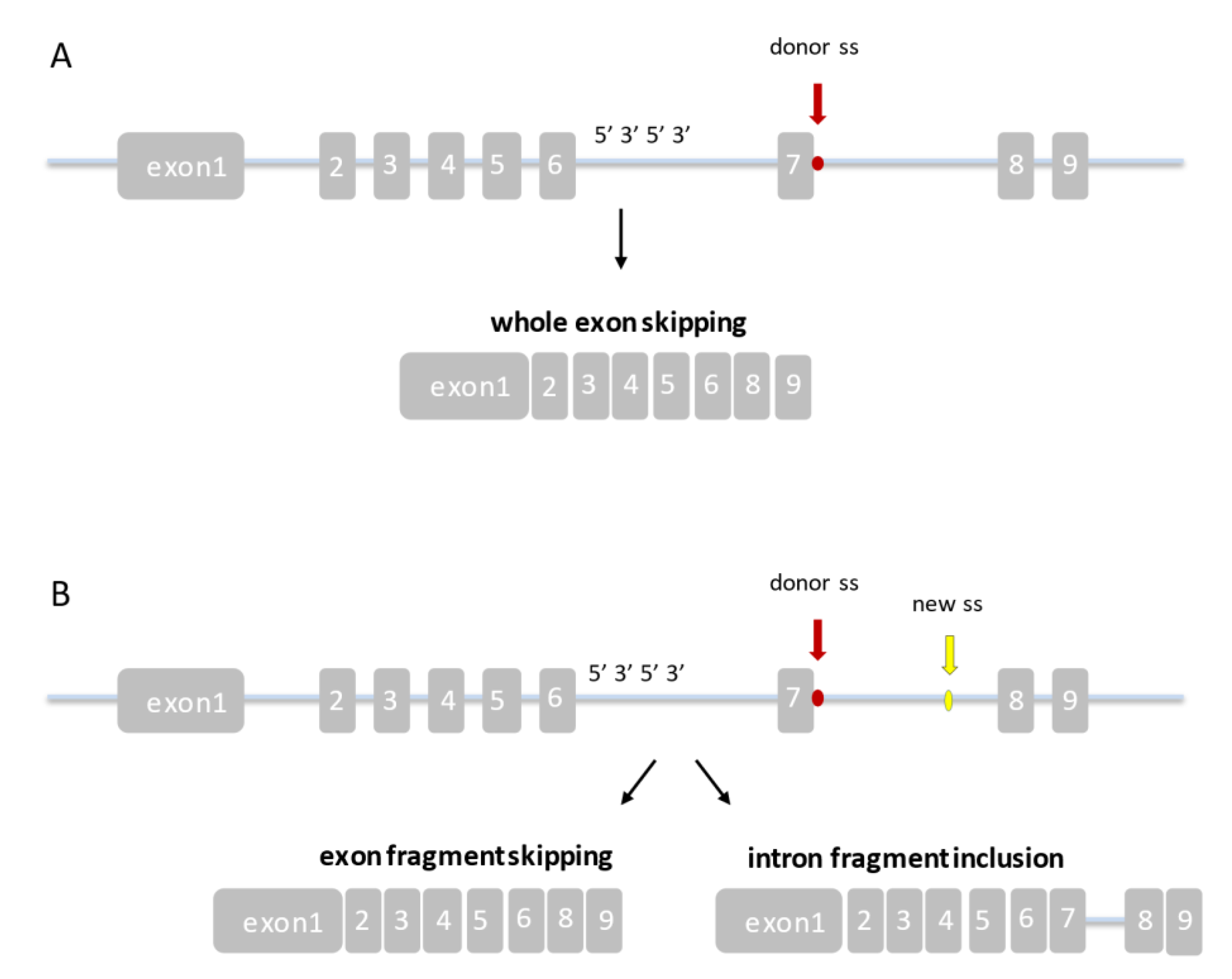 Ijerph 18 07186 g004