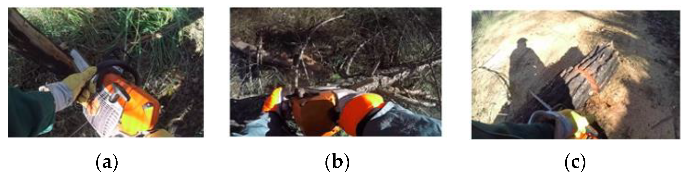 Ijerph 18 07217 g001