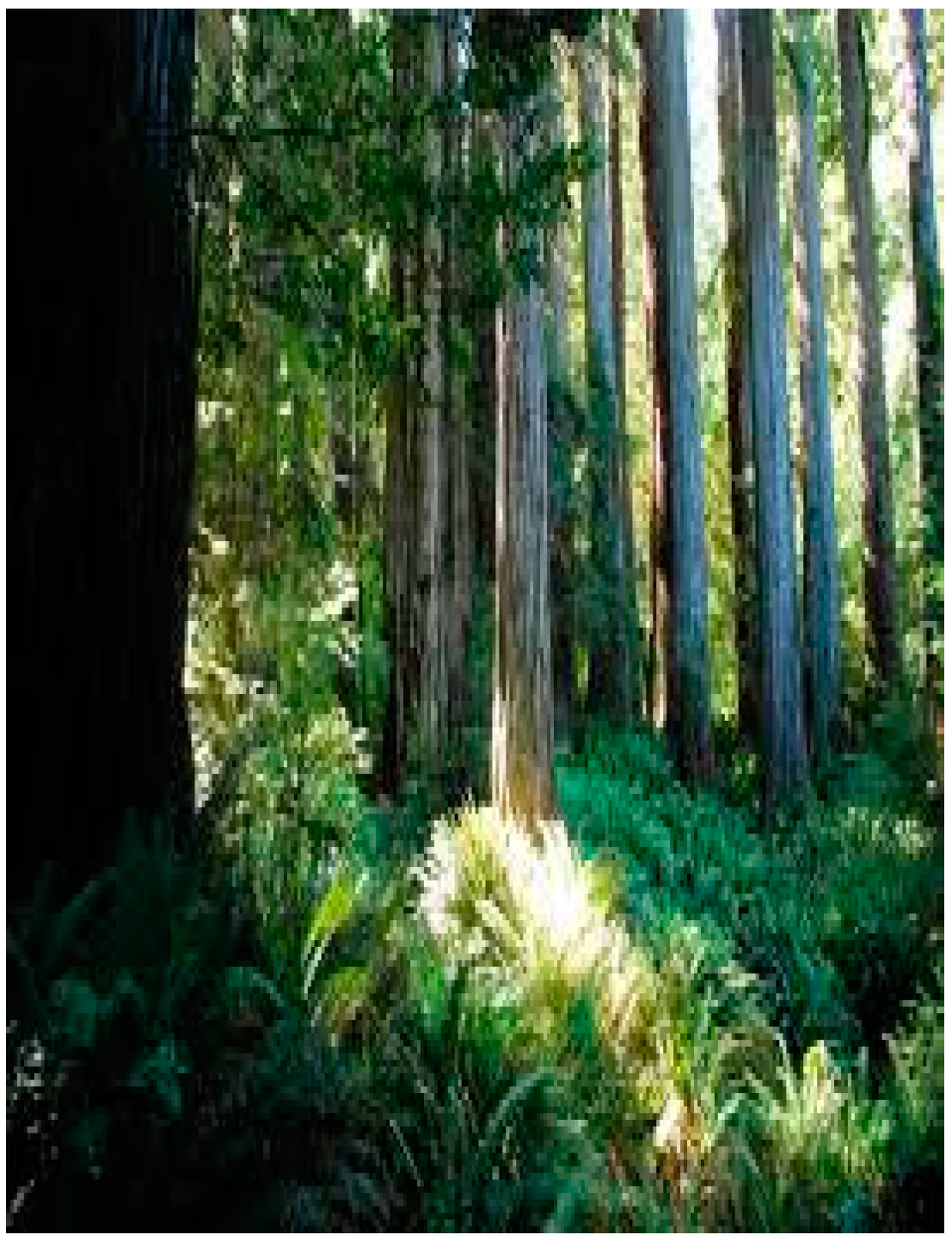 Ijerph 18 07434 g002b Ijerph 18 07434 g002b