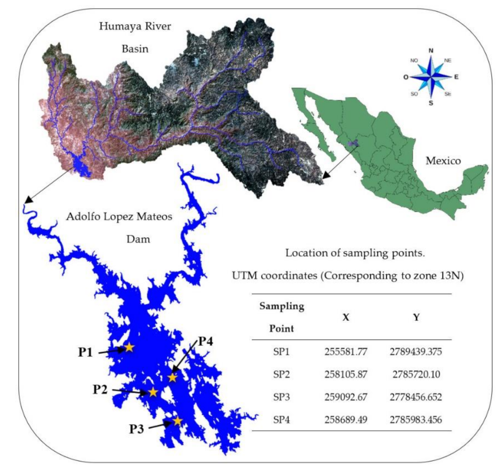 Ijerph 18 07456 g001