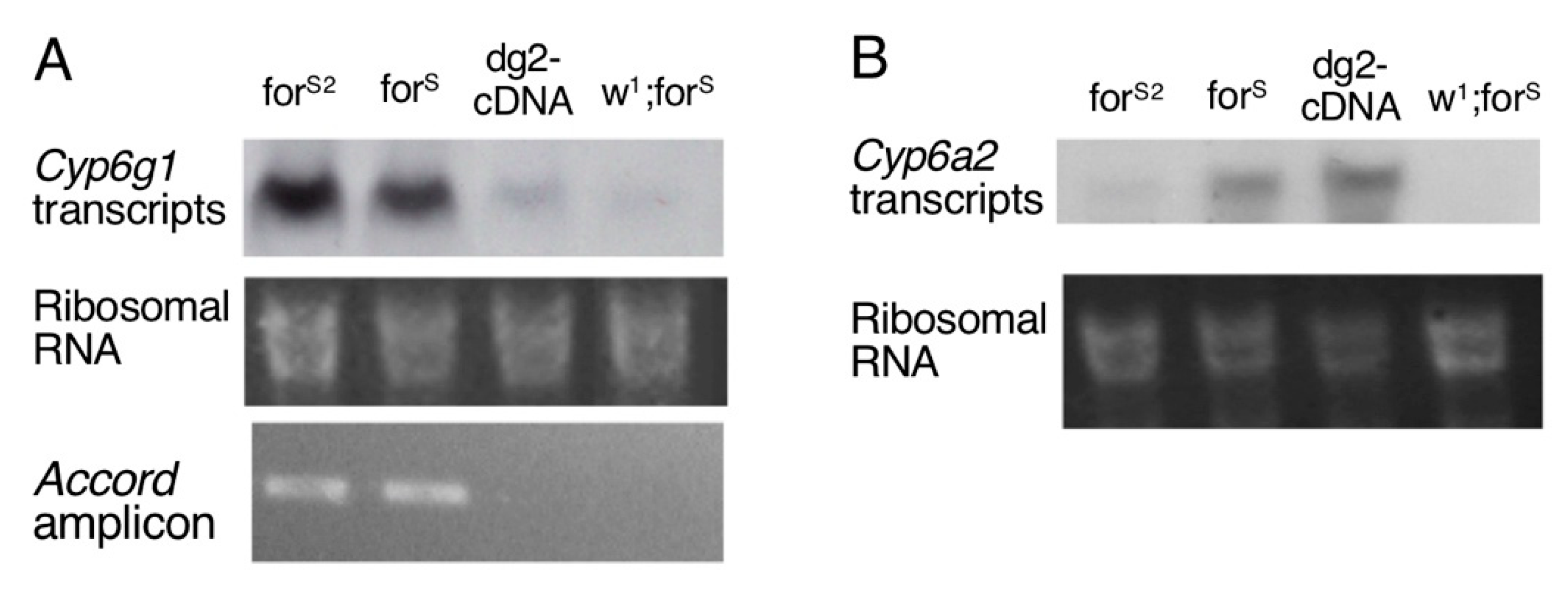 Ijerph 18 07508 g005 Ijerph 18 07508 g005