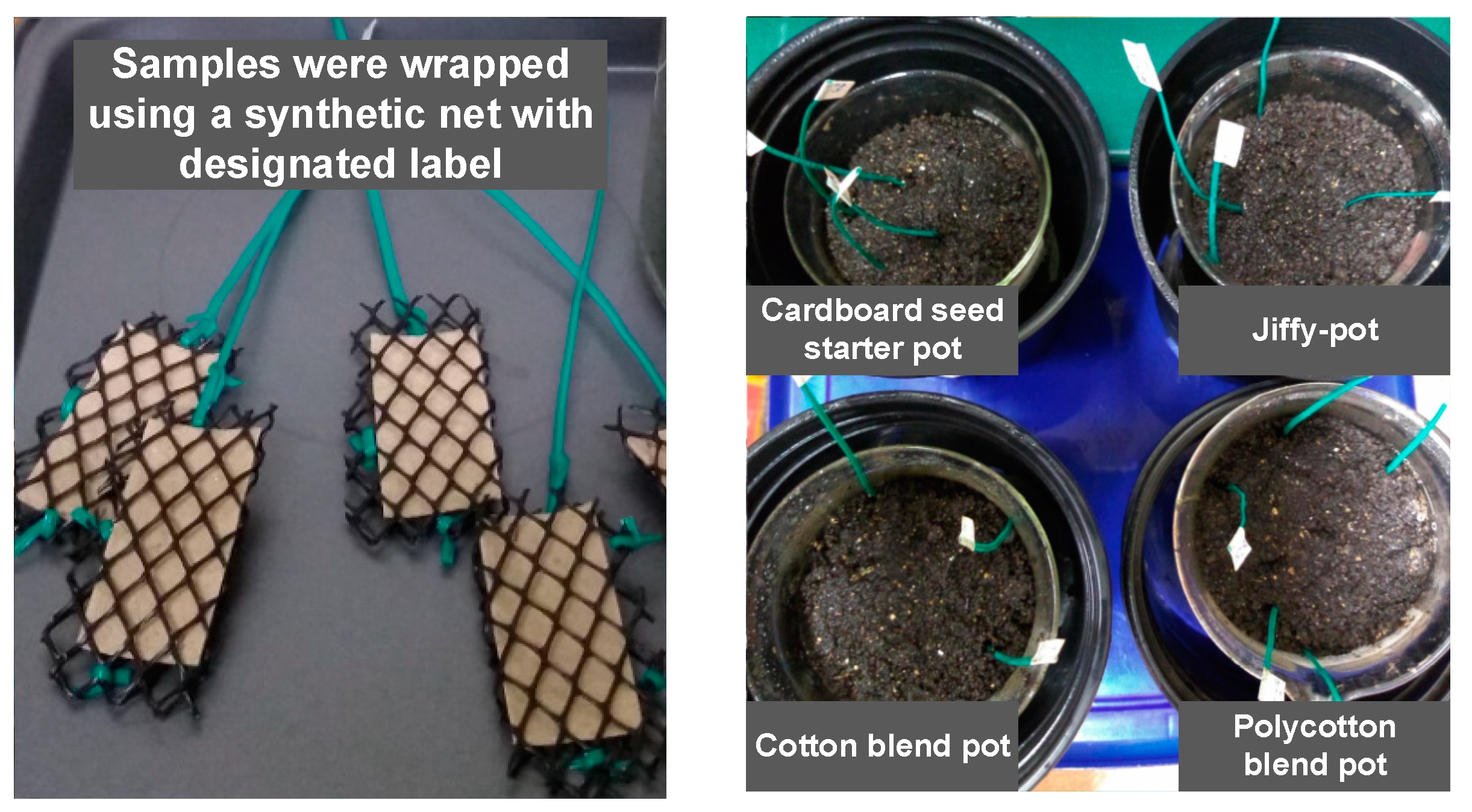 Ijerph 18 07609 g006