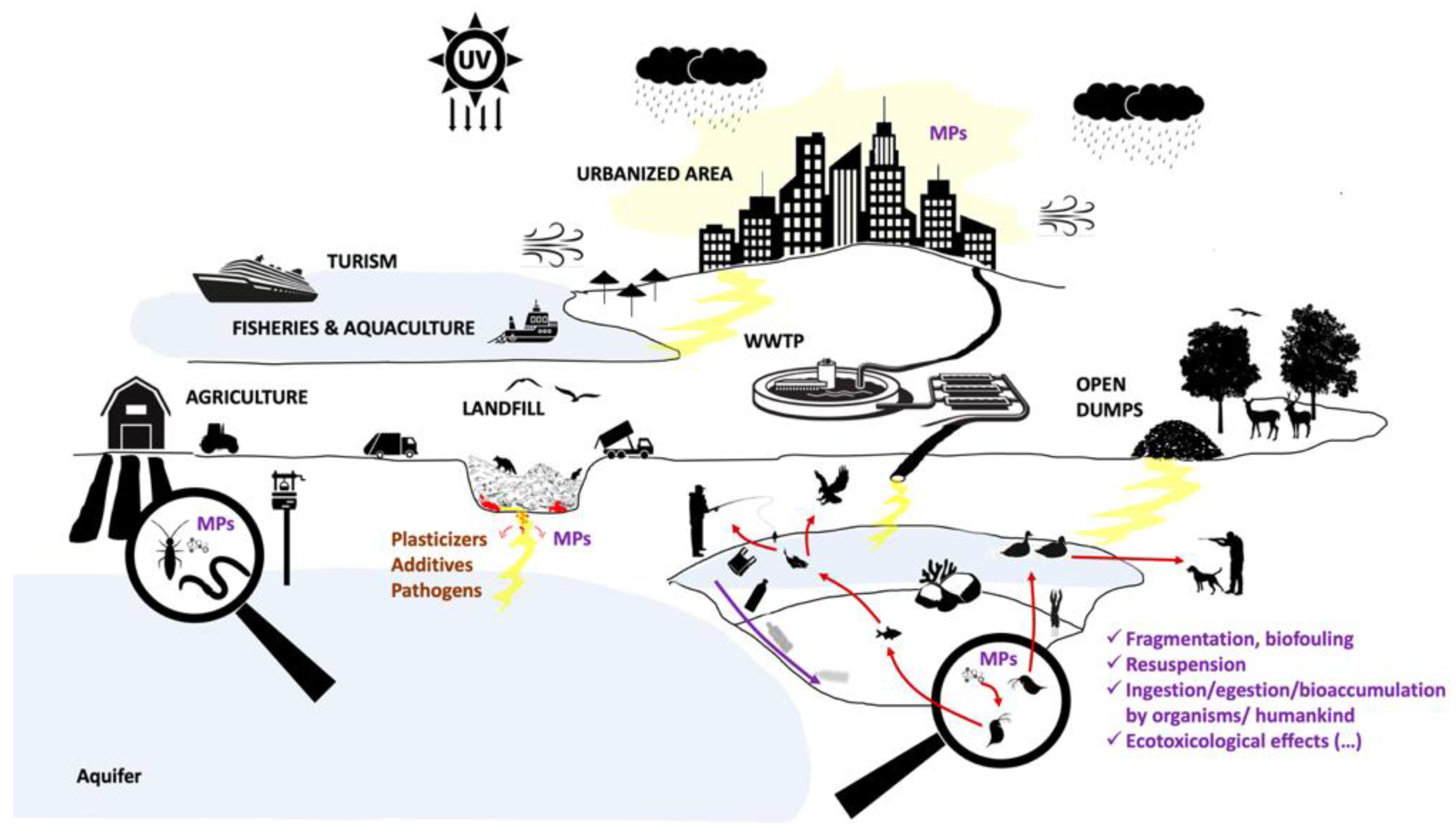 Ijerph 18 07729 g001