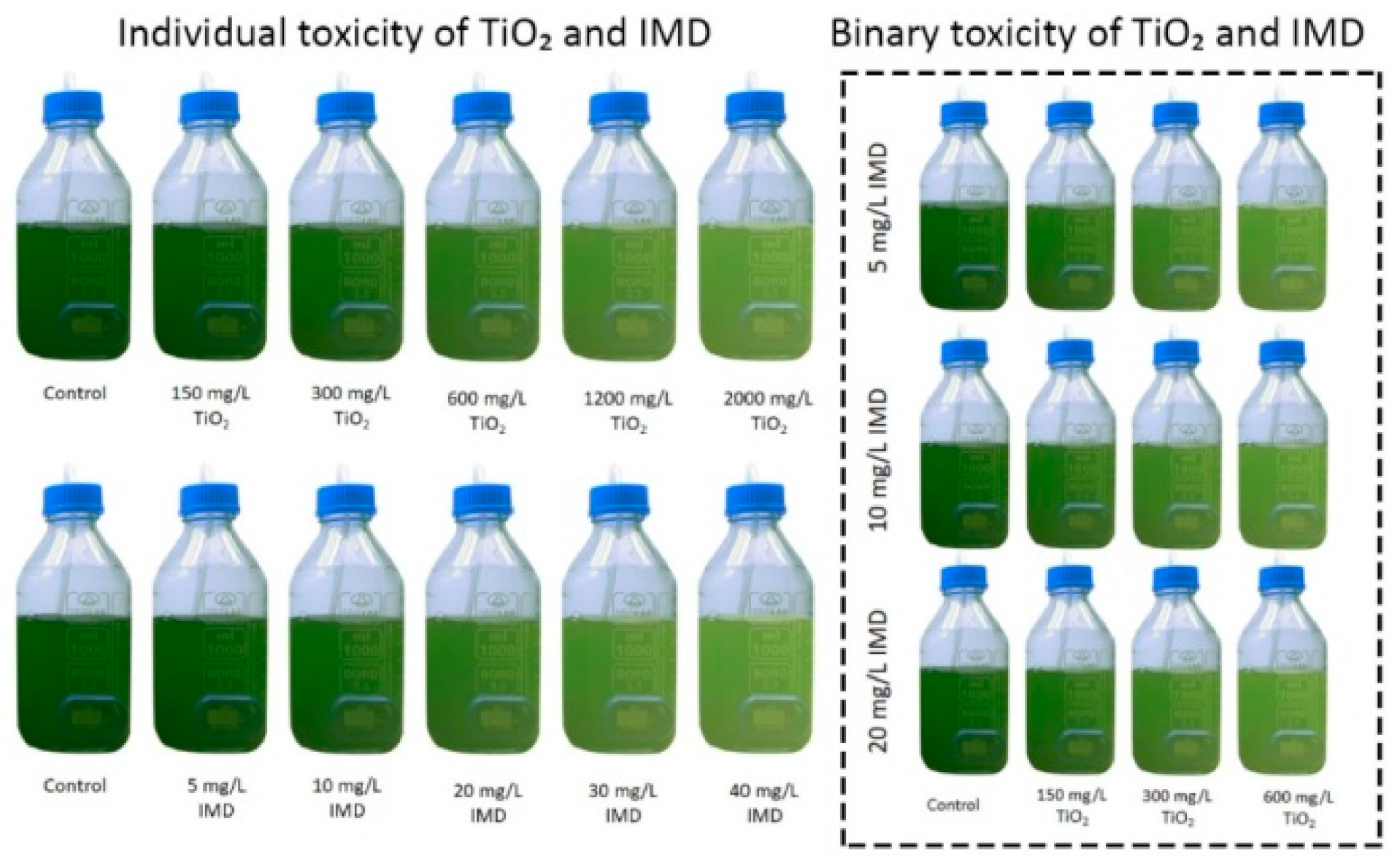 Ijerph 18 07785 g001