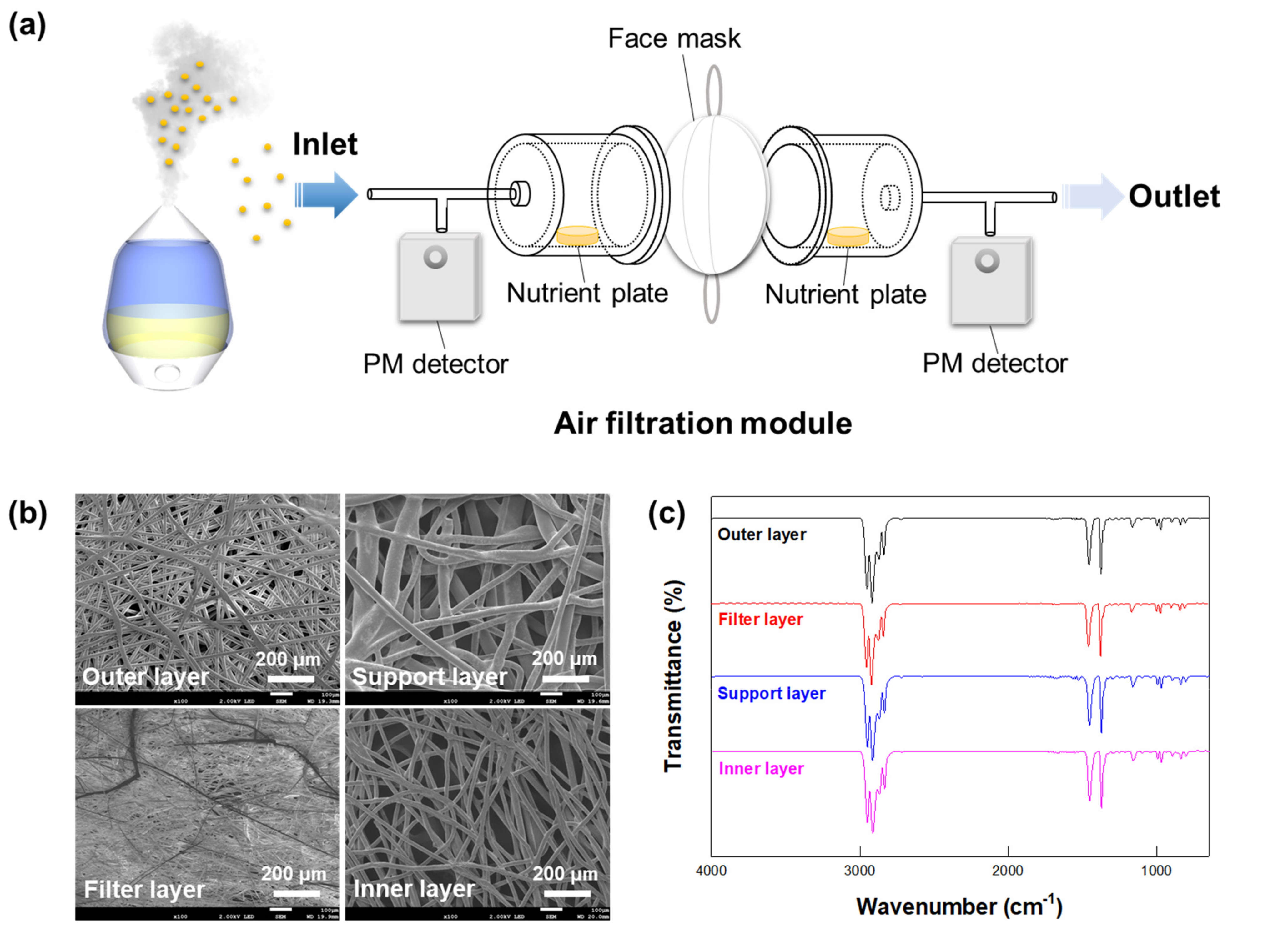 Ijerph 18 07909 g001 Ijerph 18 07909 g001