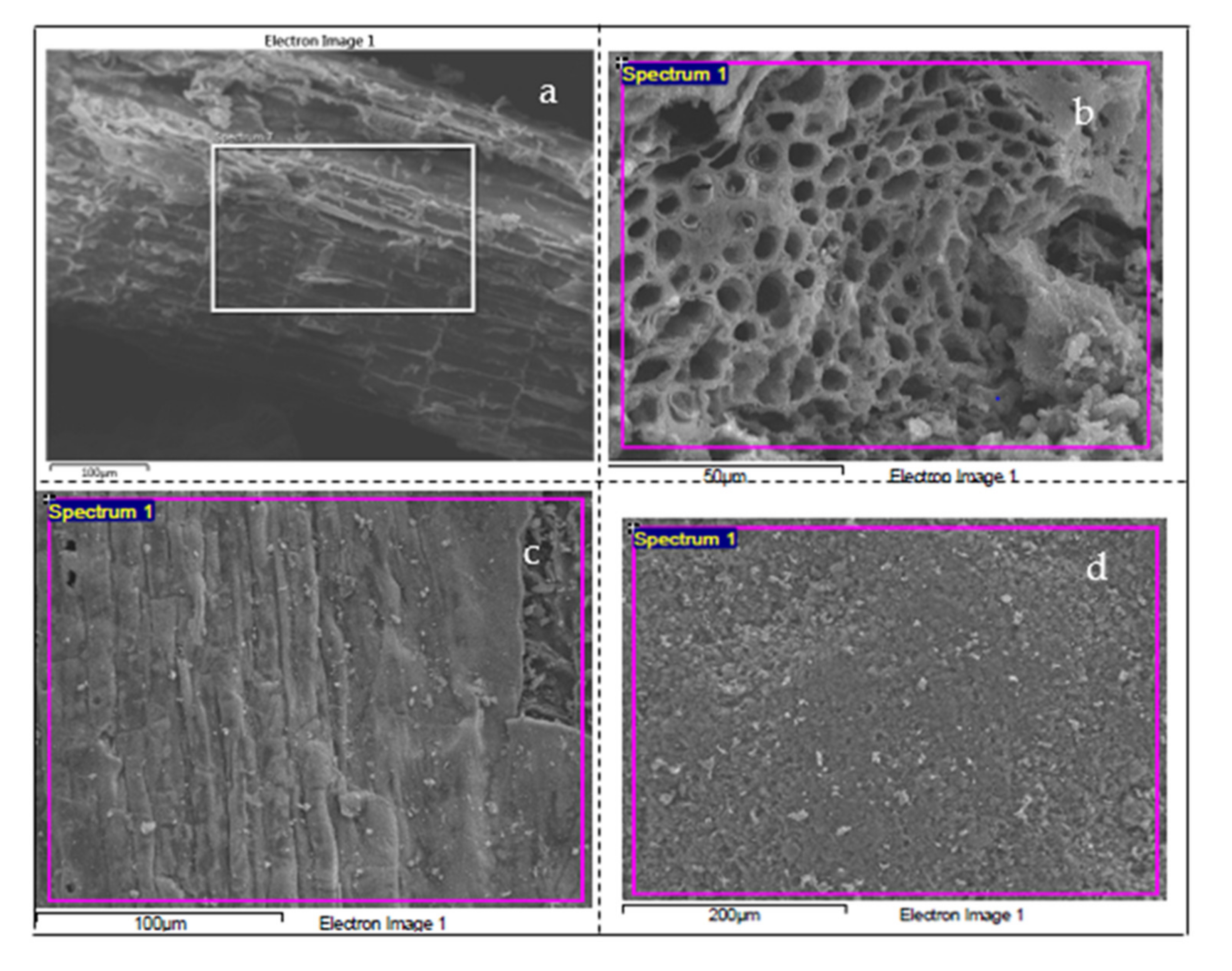 Ijerph 18 07949 g005