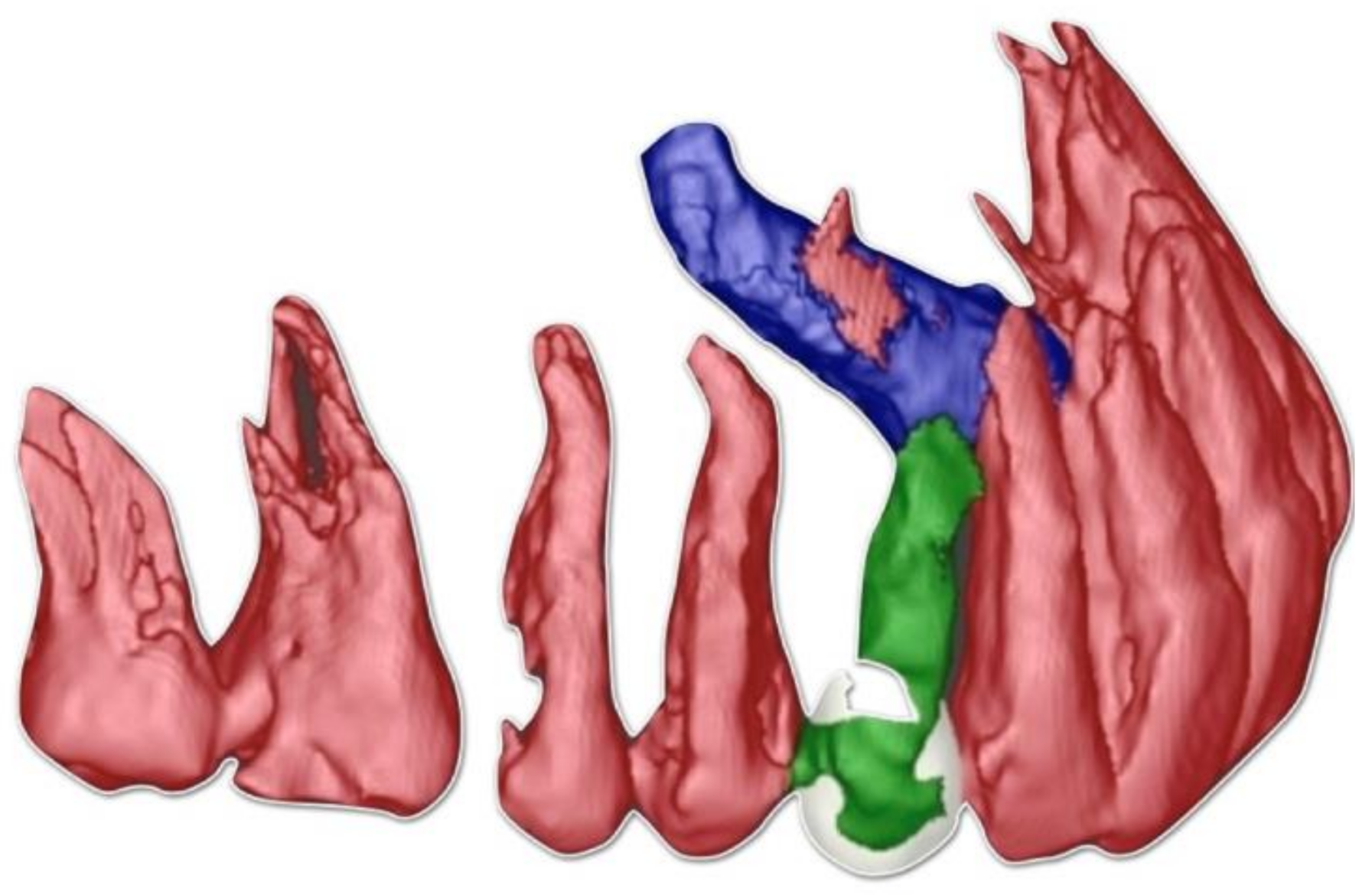 Ijerph 18 07998 g002