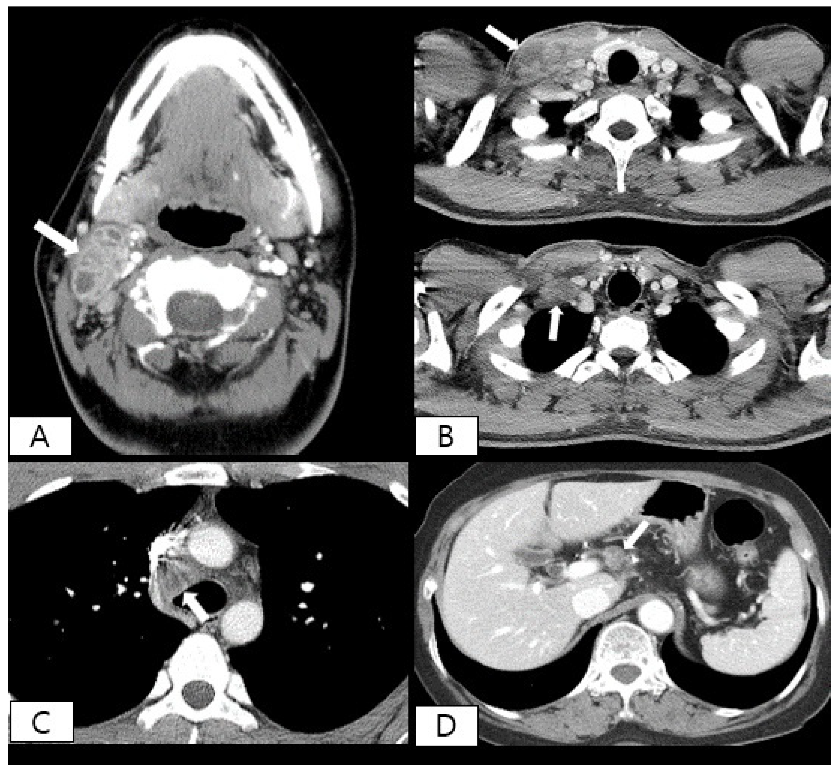 Ijerph 18 08020 g001