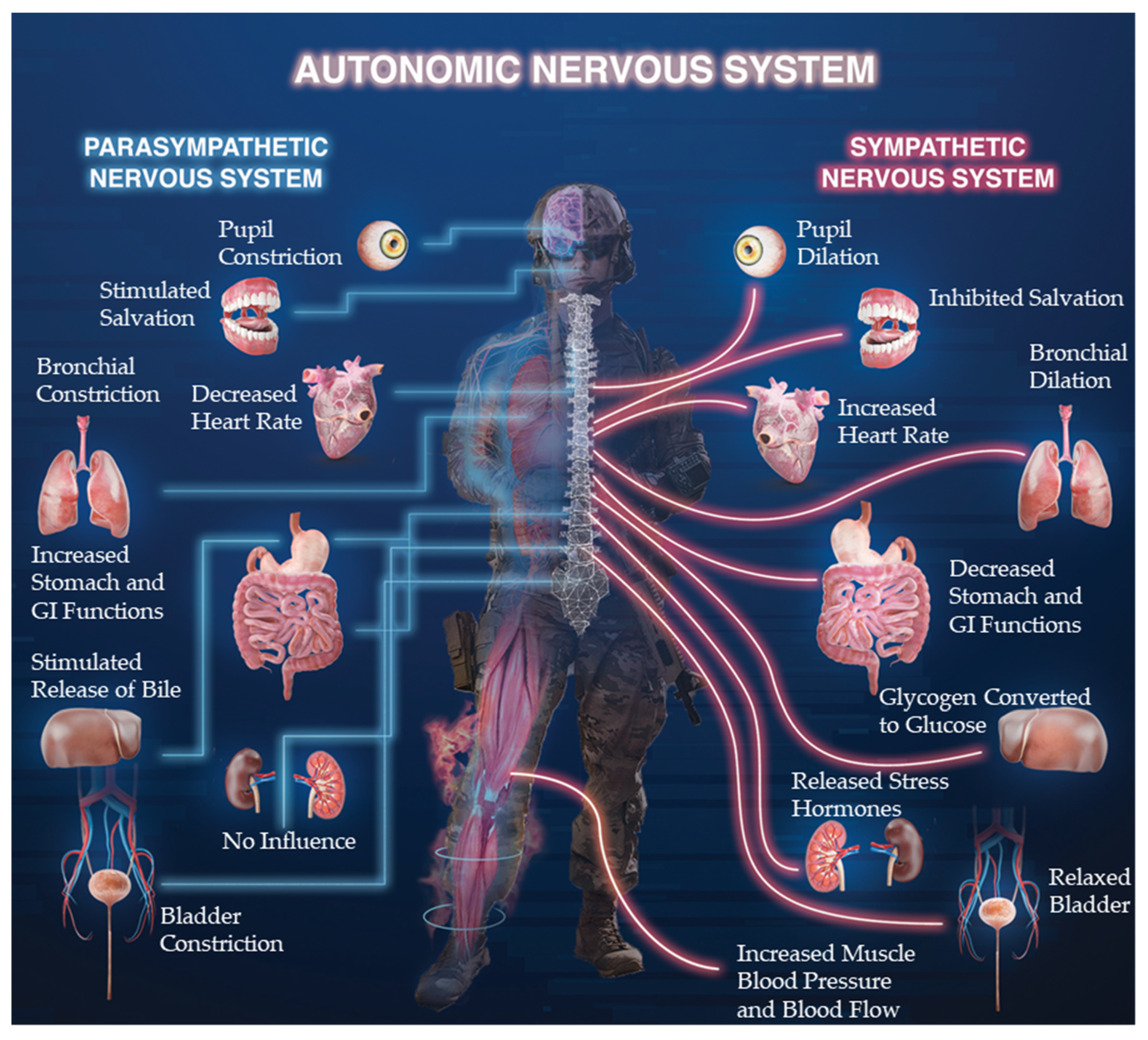 Ijerph 18 08143 g001 Ijerph 18 08143 g001
