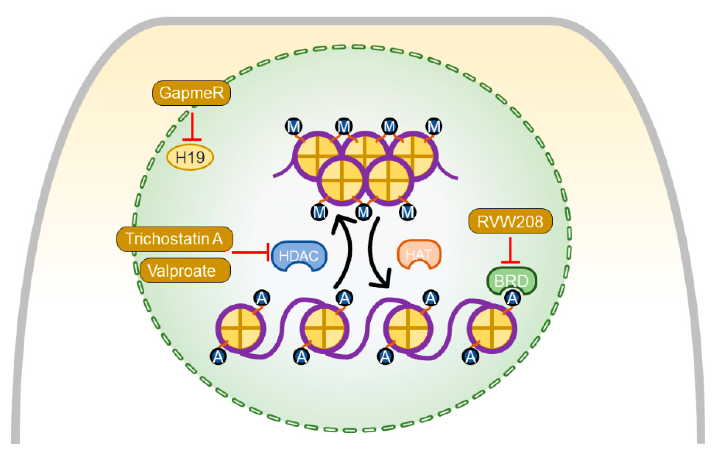Ijerph 18 08297 g006 Ijerph 18 08297 g006