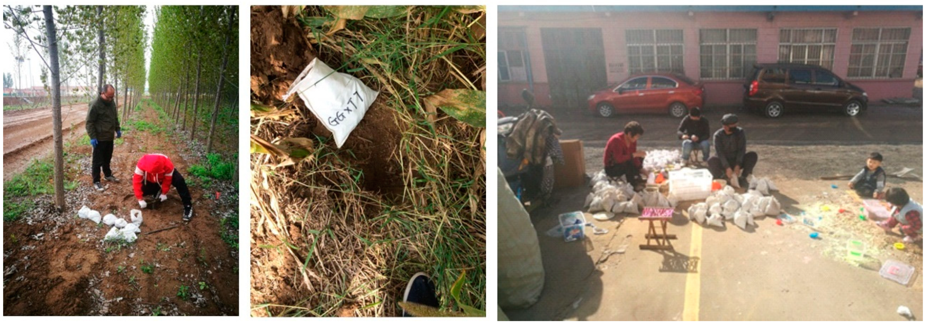 Ijerph 18 08329 g002