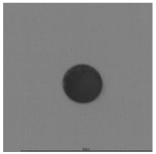 Ijerph 18 08346 i002