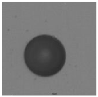 Ijerph 18 08346 i003