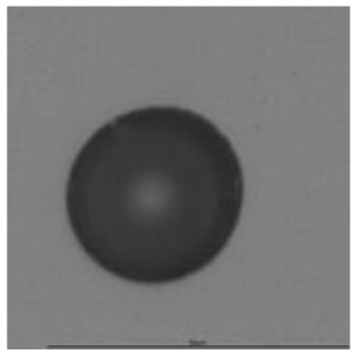 Ijerph 18 08346 i008