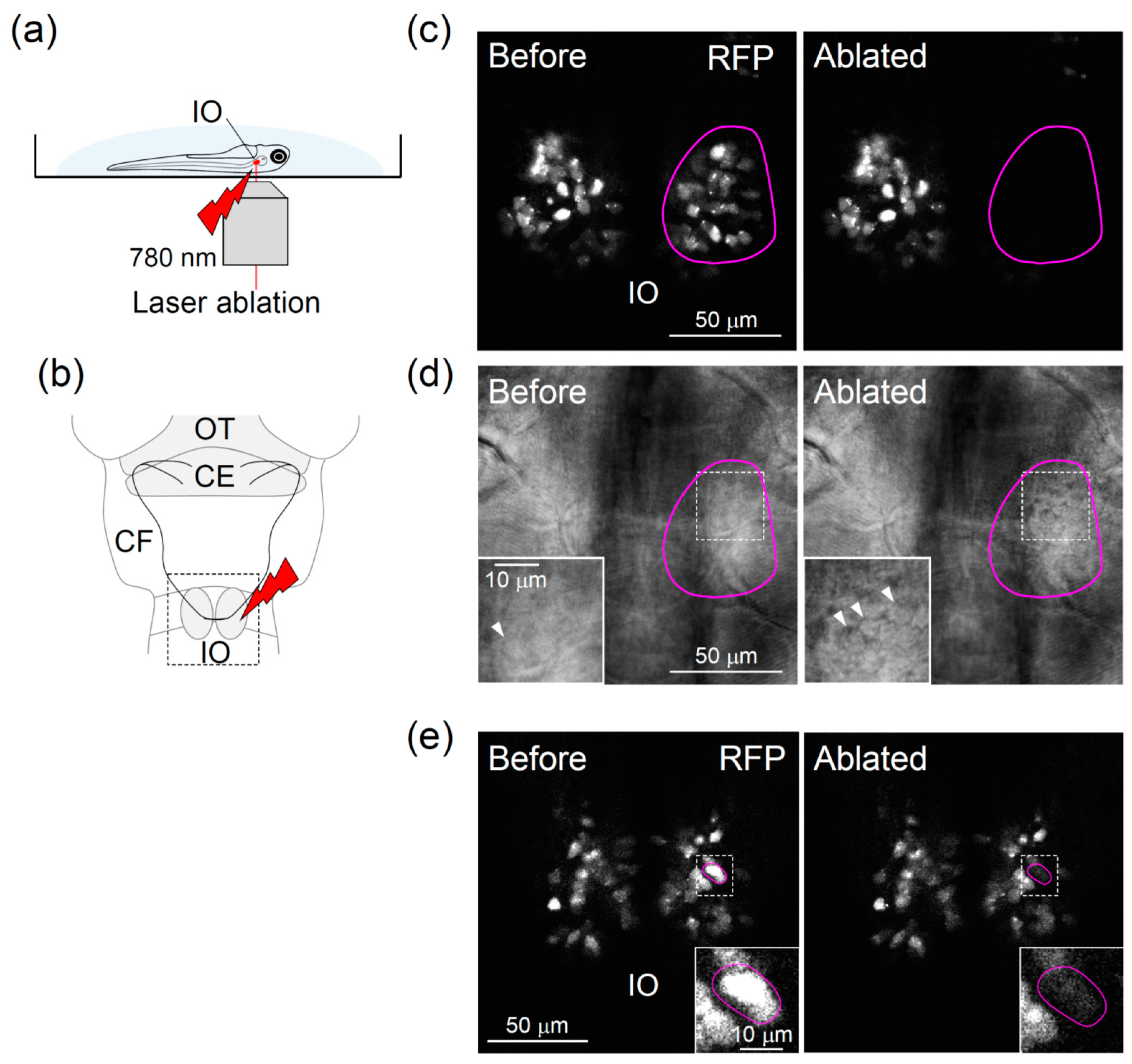 Ijerph 18 08357 g002