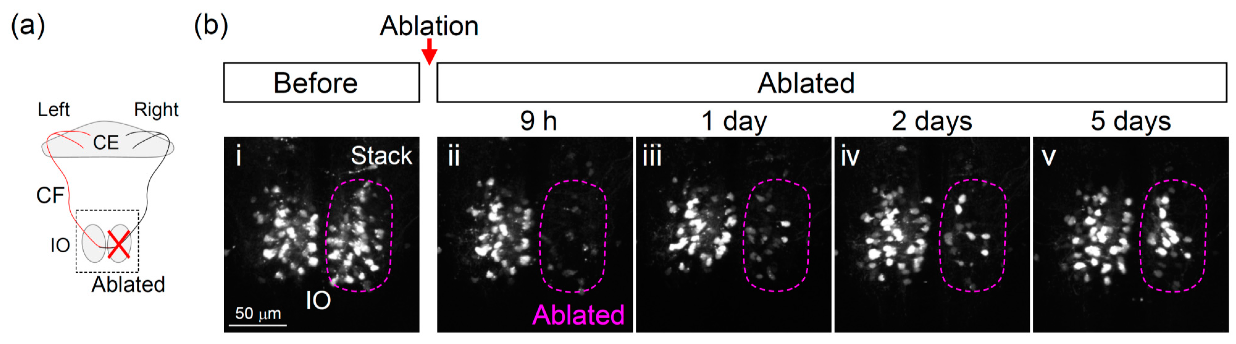Ijerph 18 08357 g003
