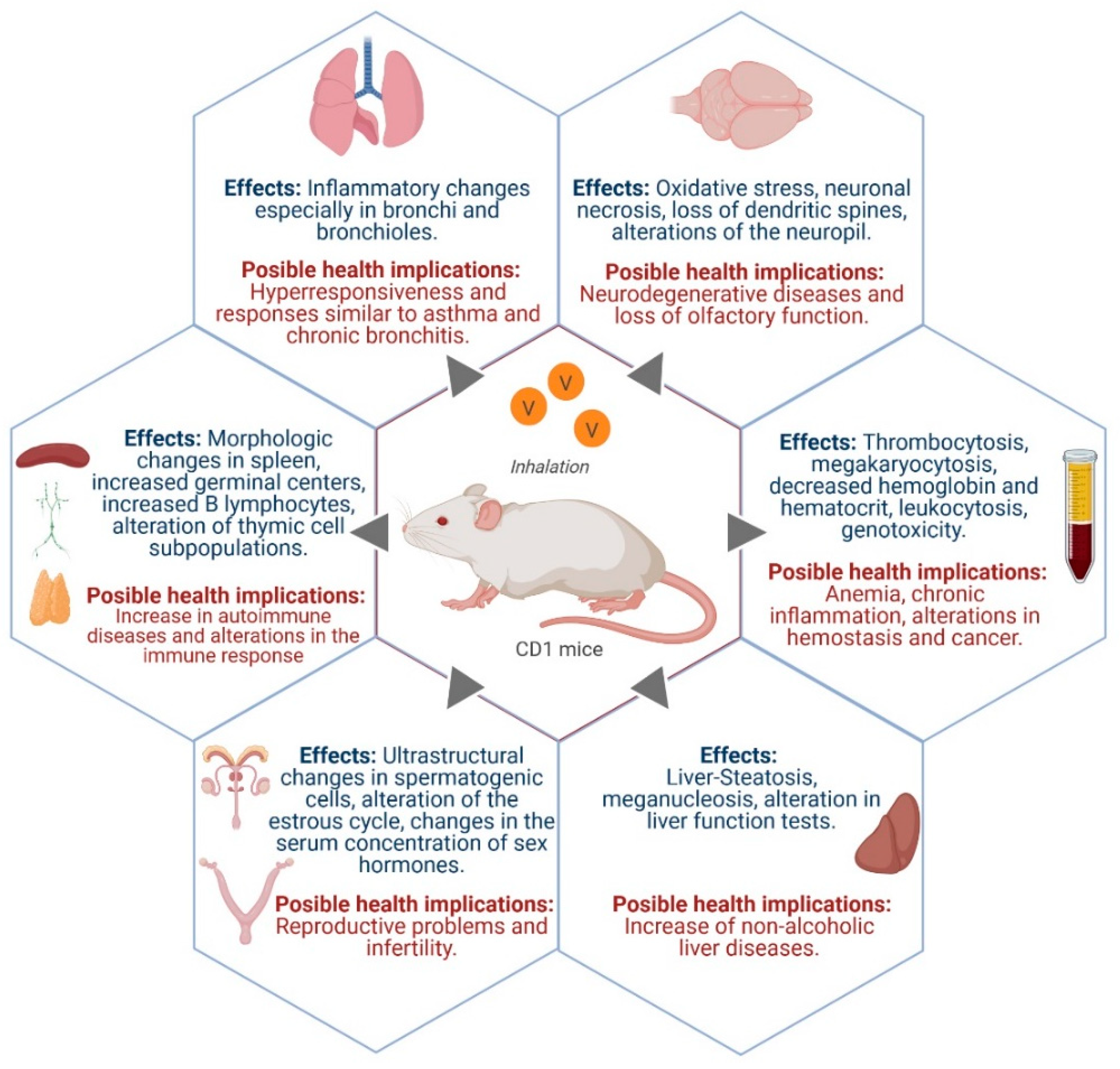 Ijerph 18 08457 g002