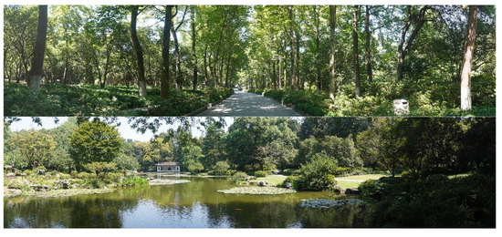 Ijerph 18 08526 g0a1a 550