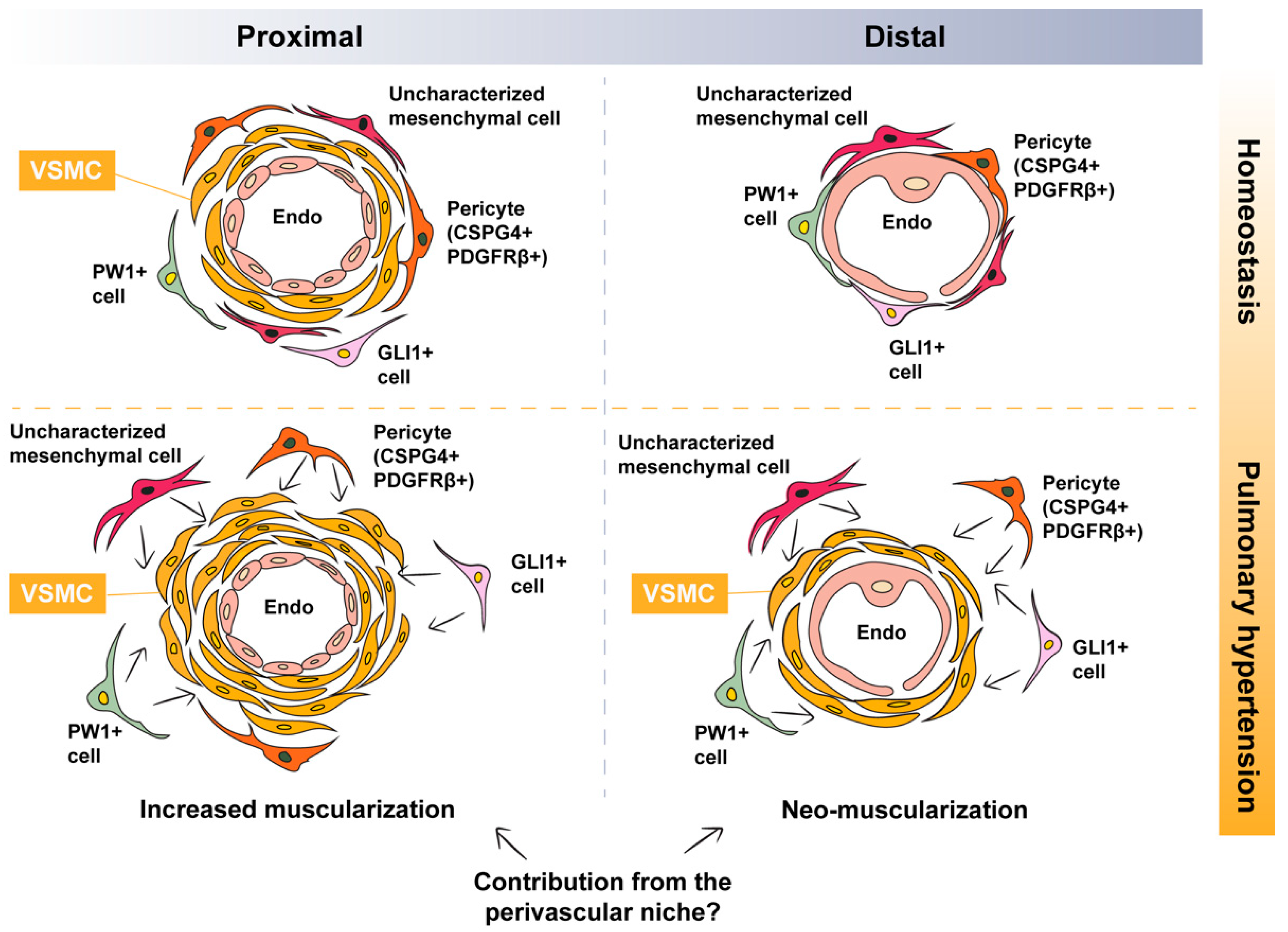Ijerph 18 08584 g001