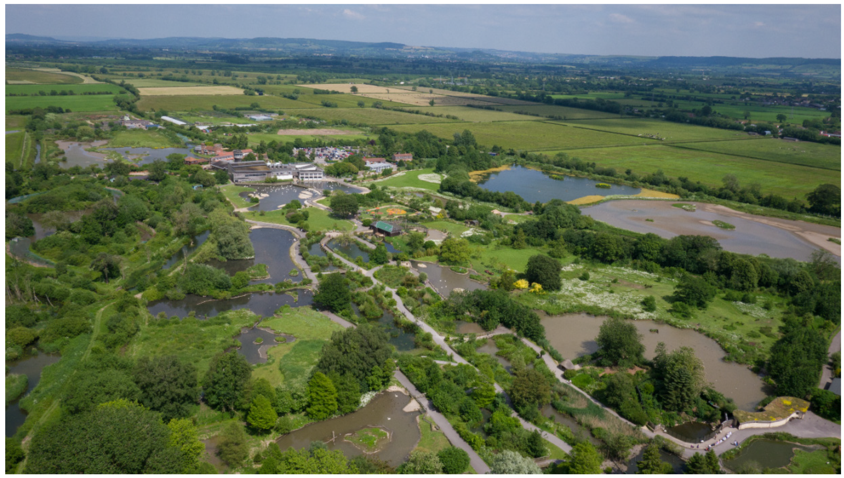 Ijerph 18 08629 g001